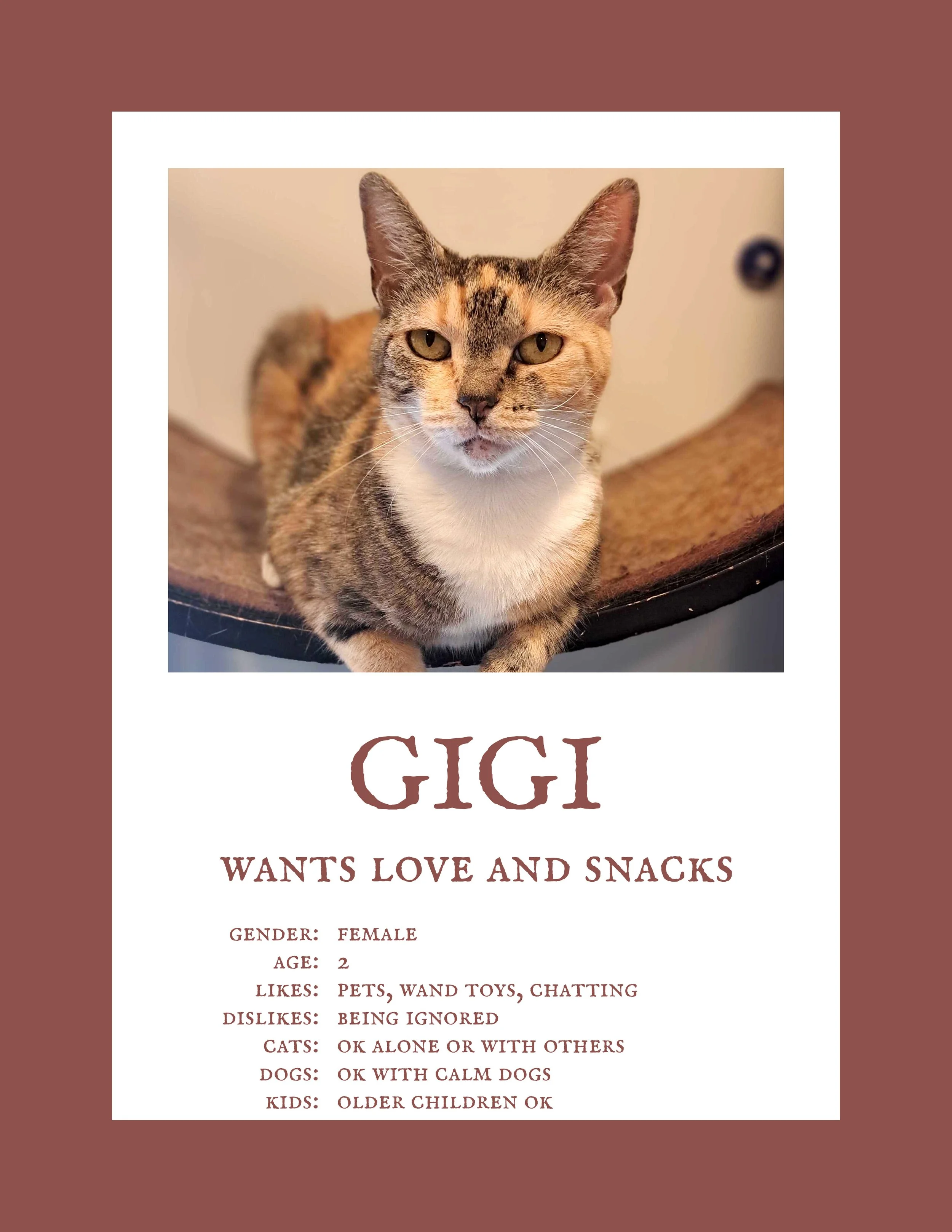 Gigi 2.jpg
