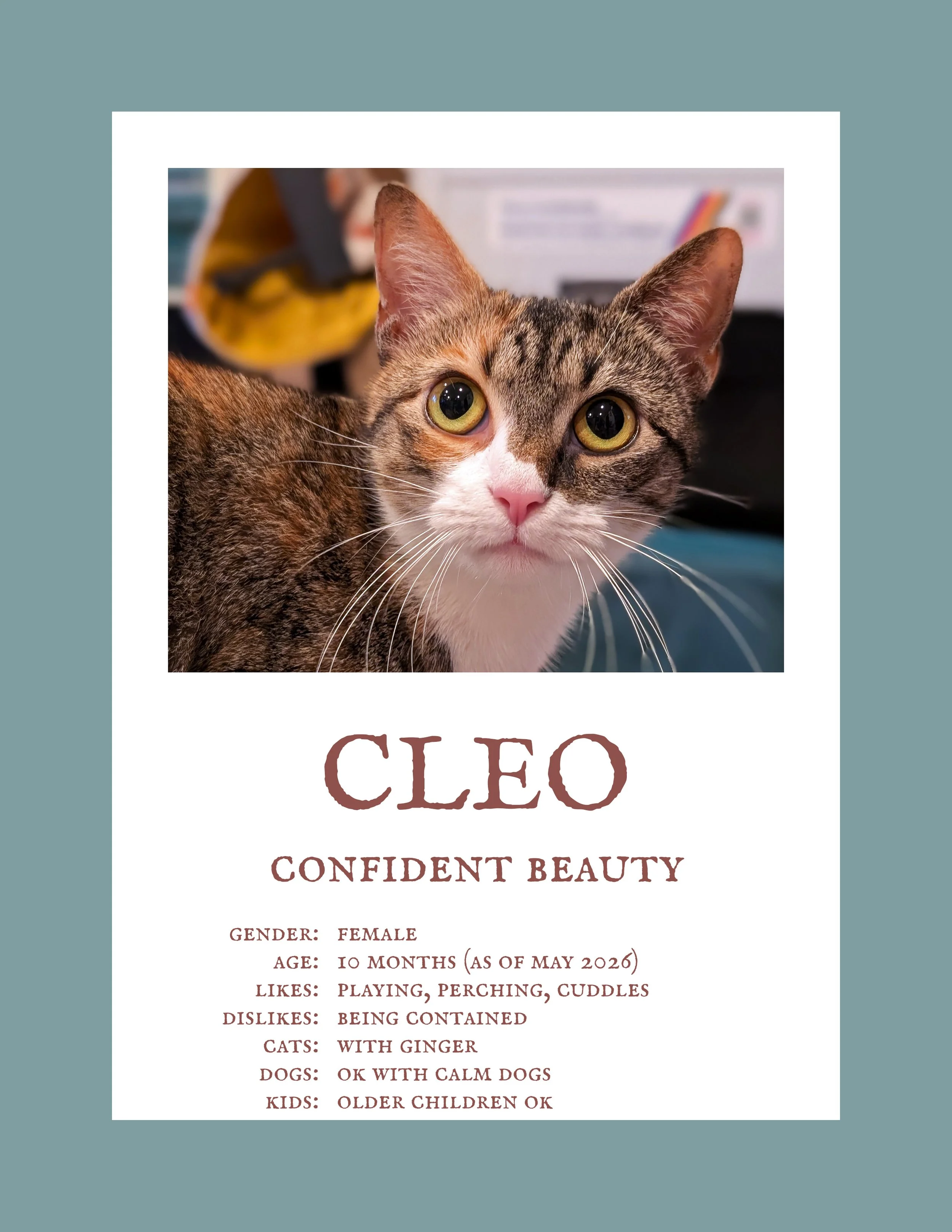 Cleo 5.jpg