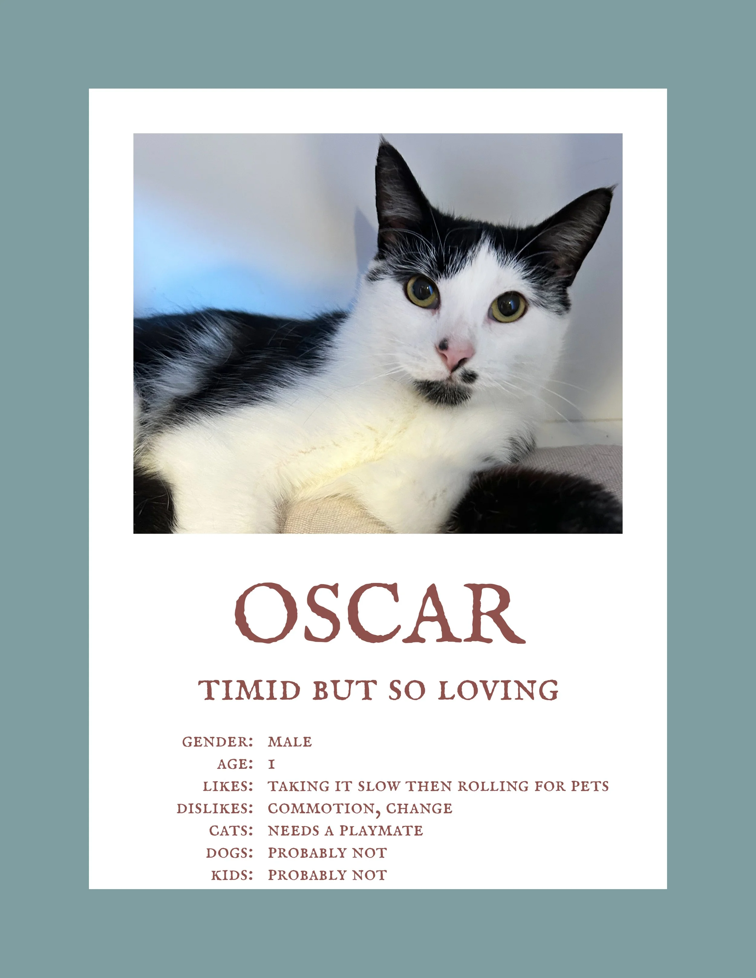 Oscar 2.jpg