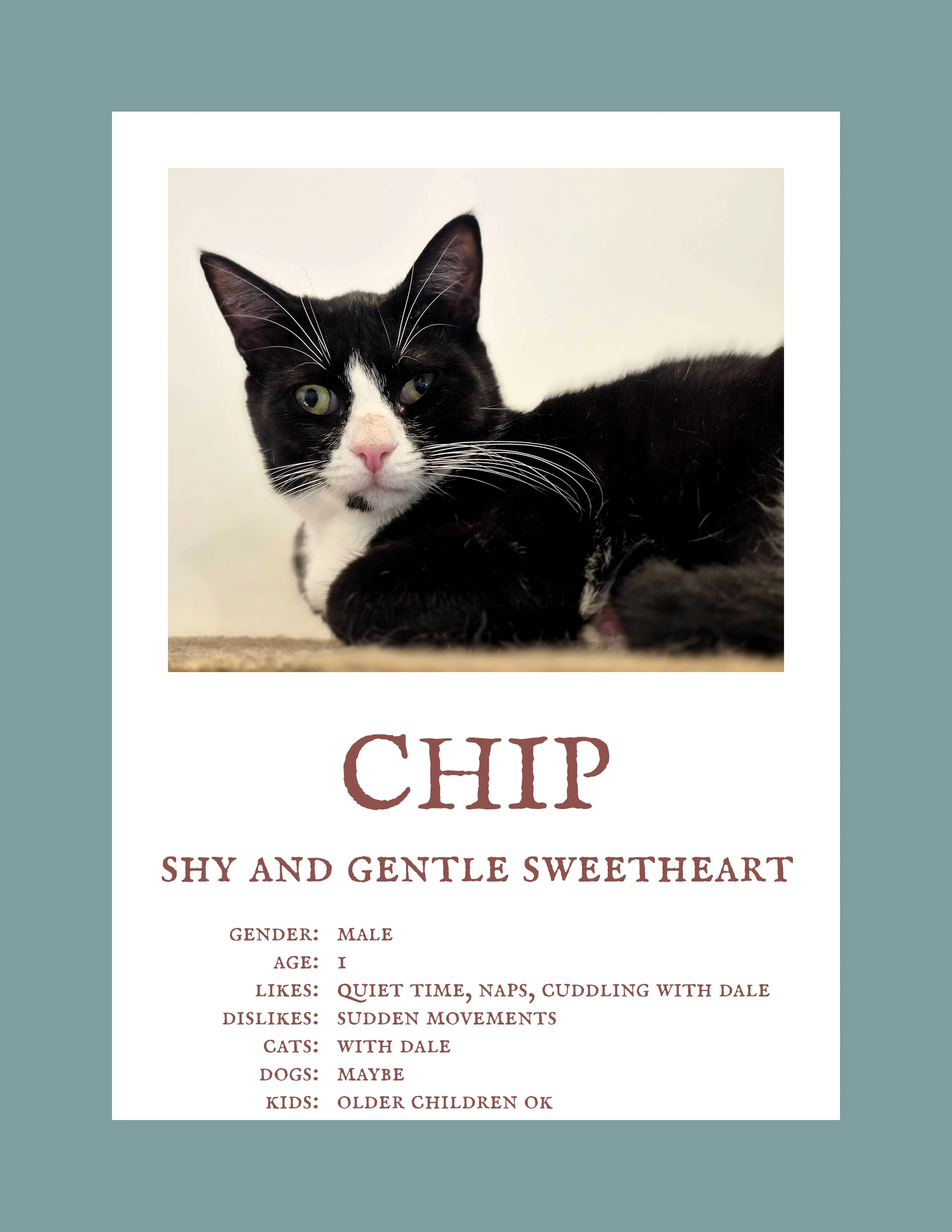 Chip 3.jpg