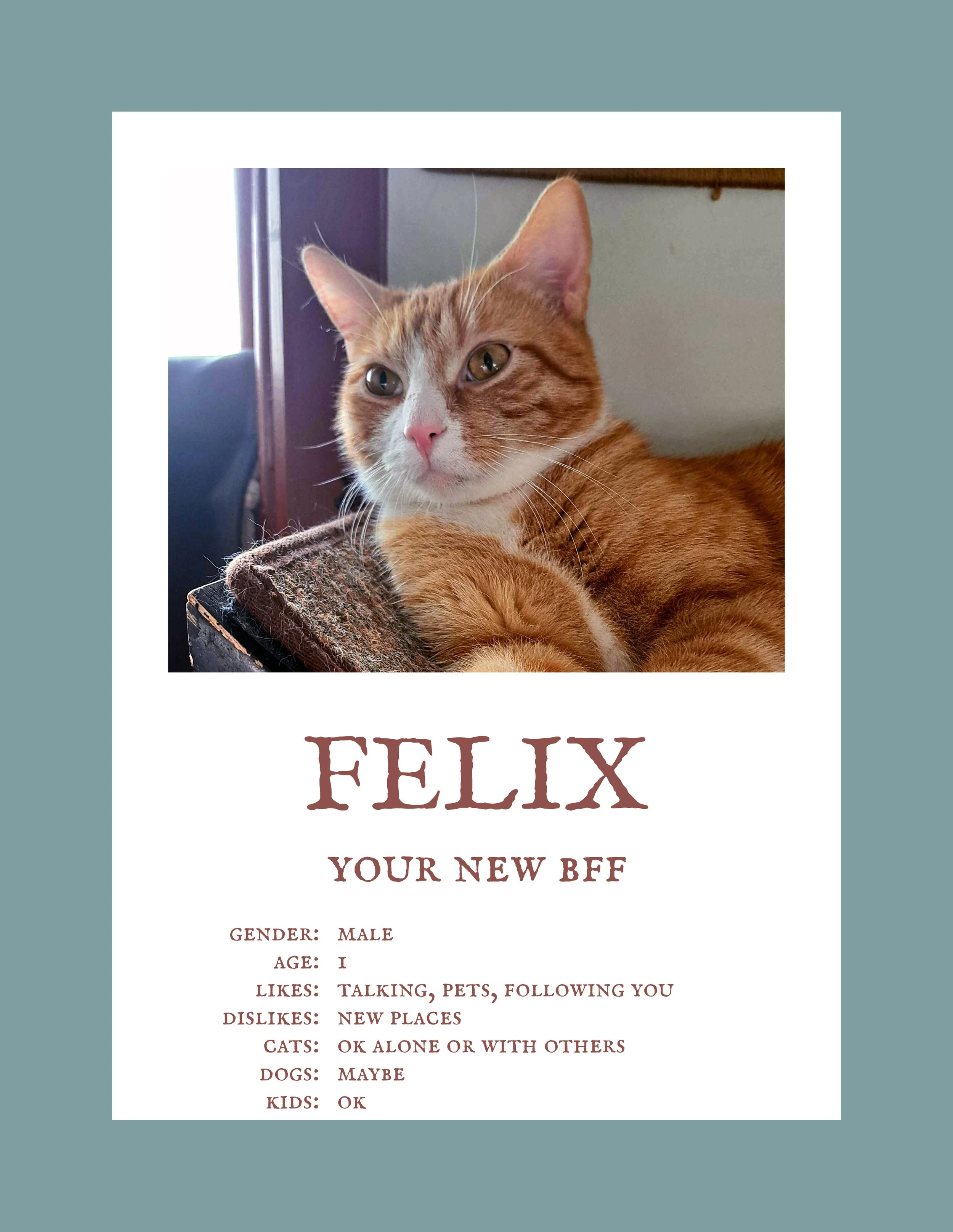 Felix.jpg