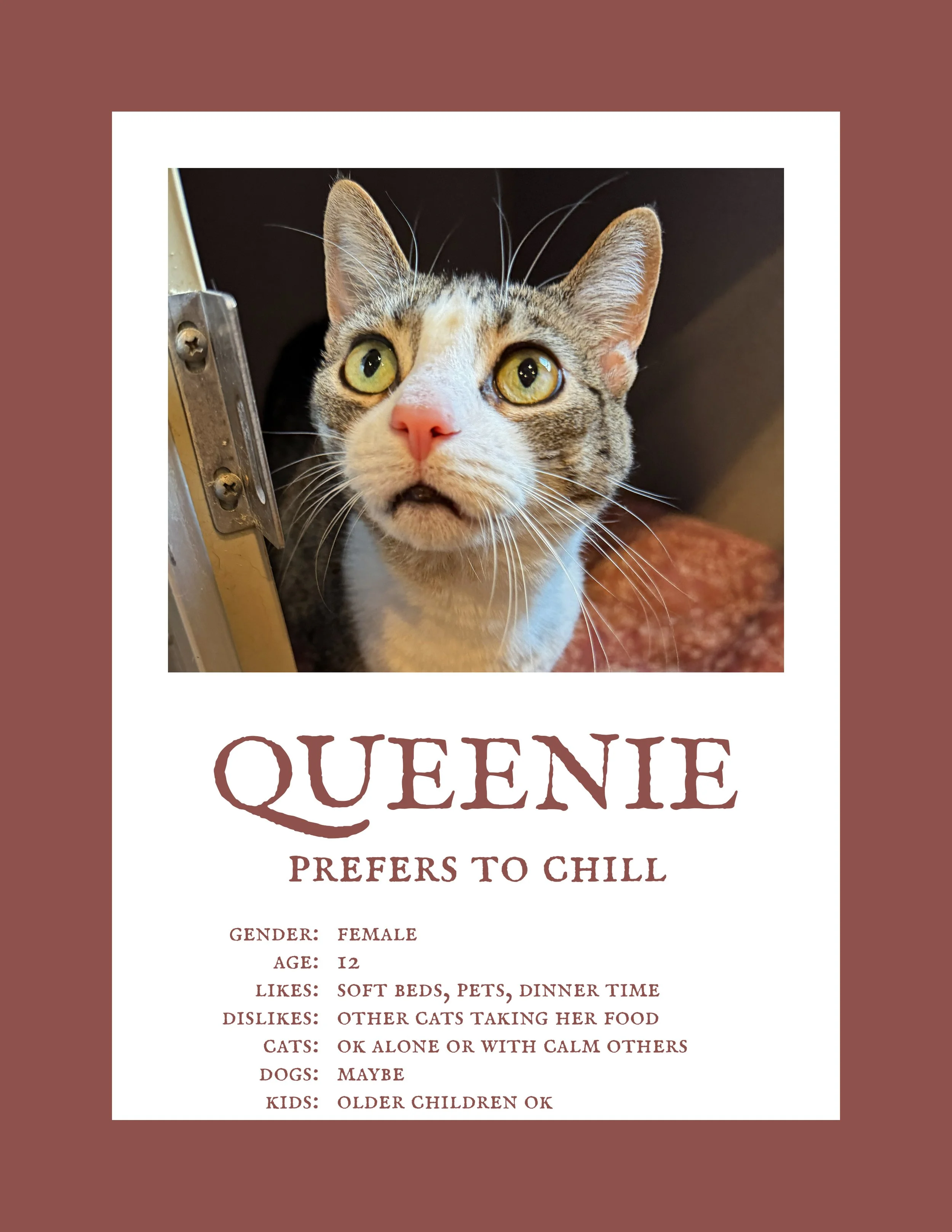 Queenie 2.jpg