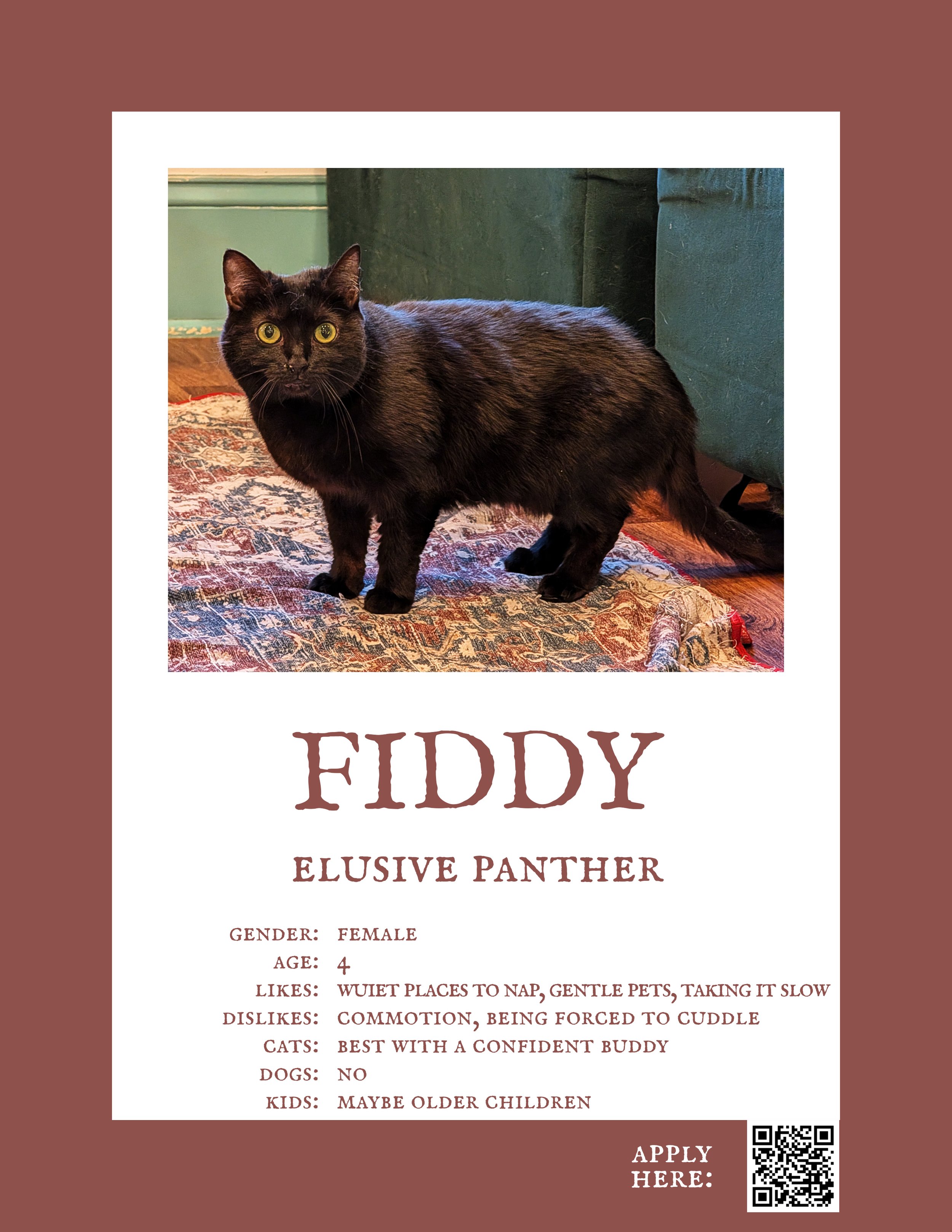 Fiddy.jpg