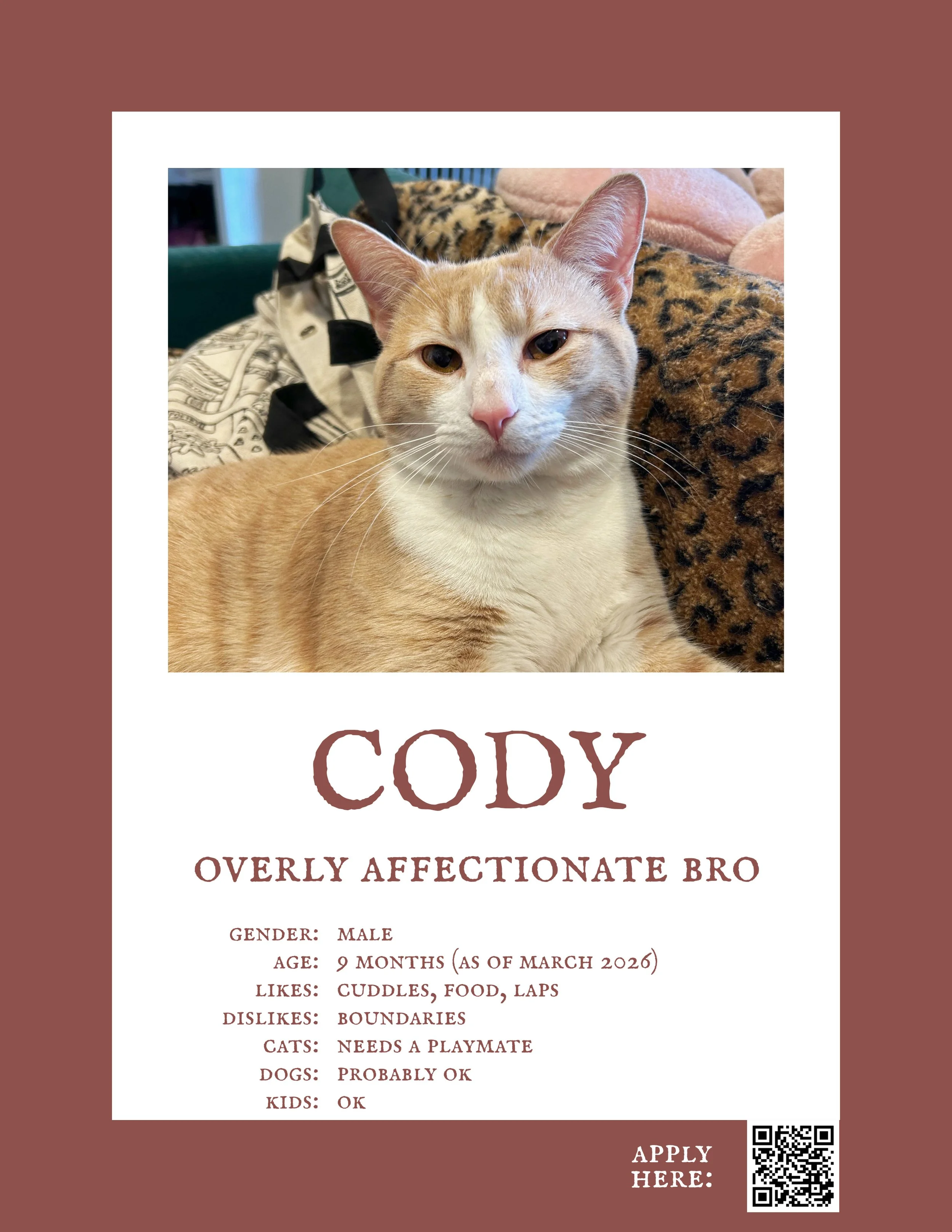 Cody.jpg