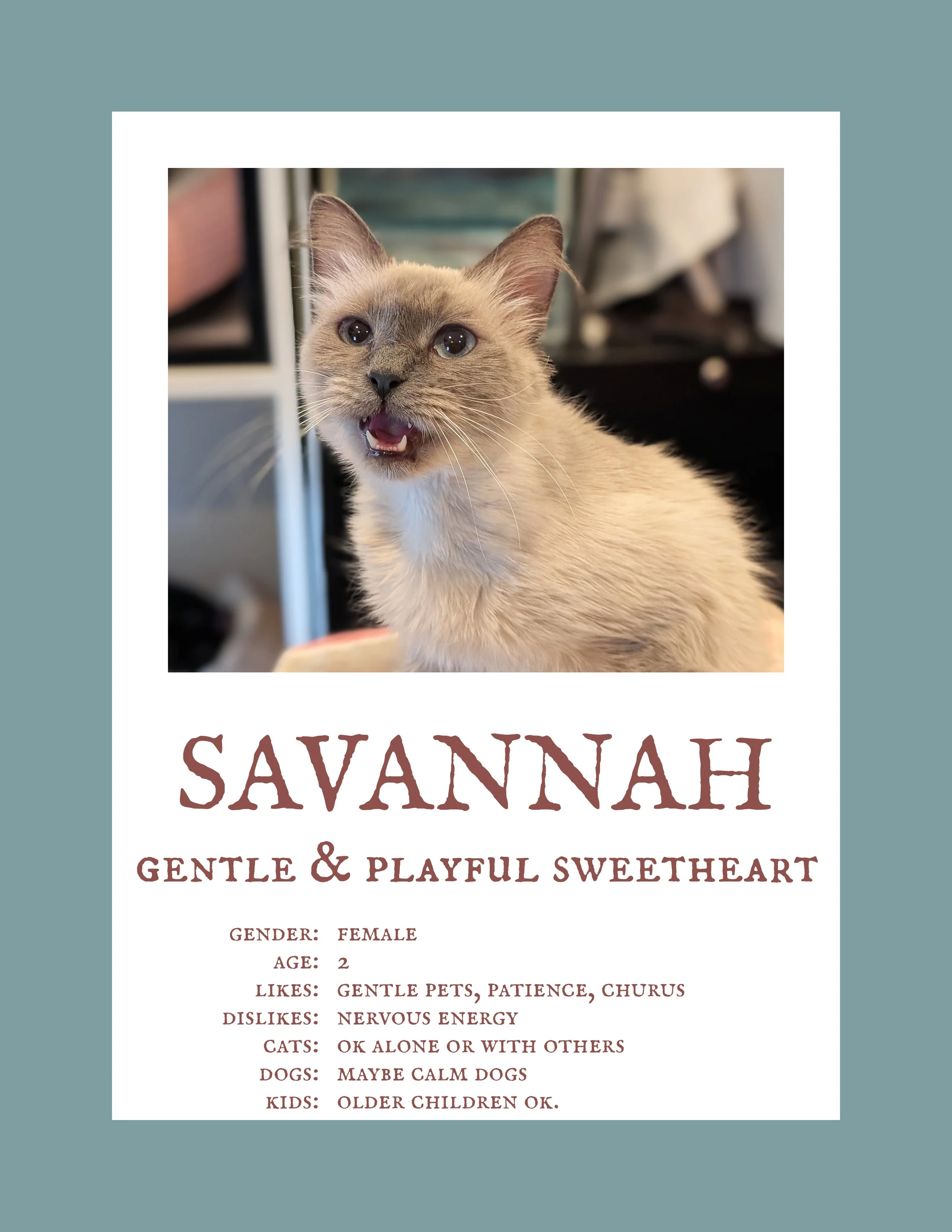 Savannah.jpg