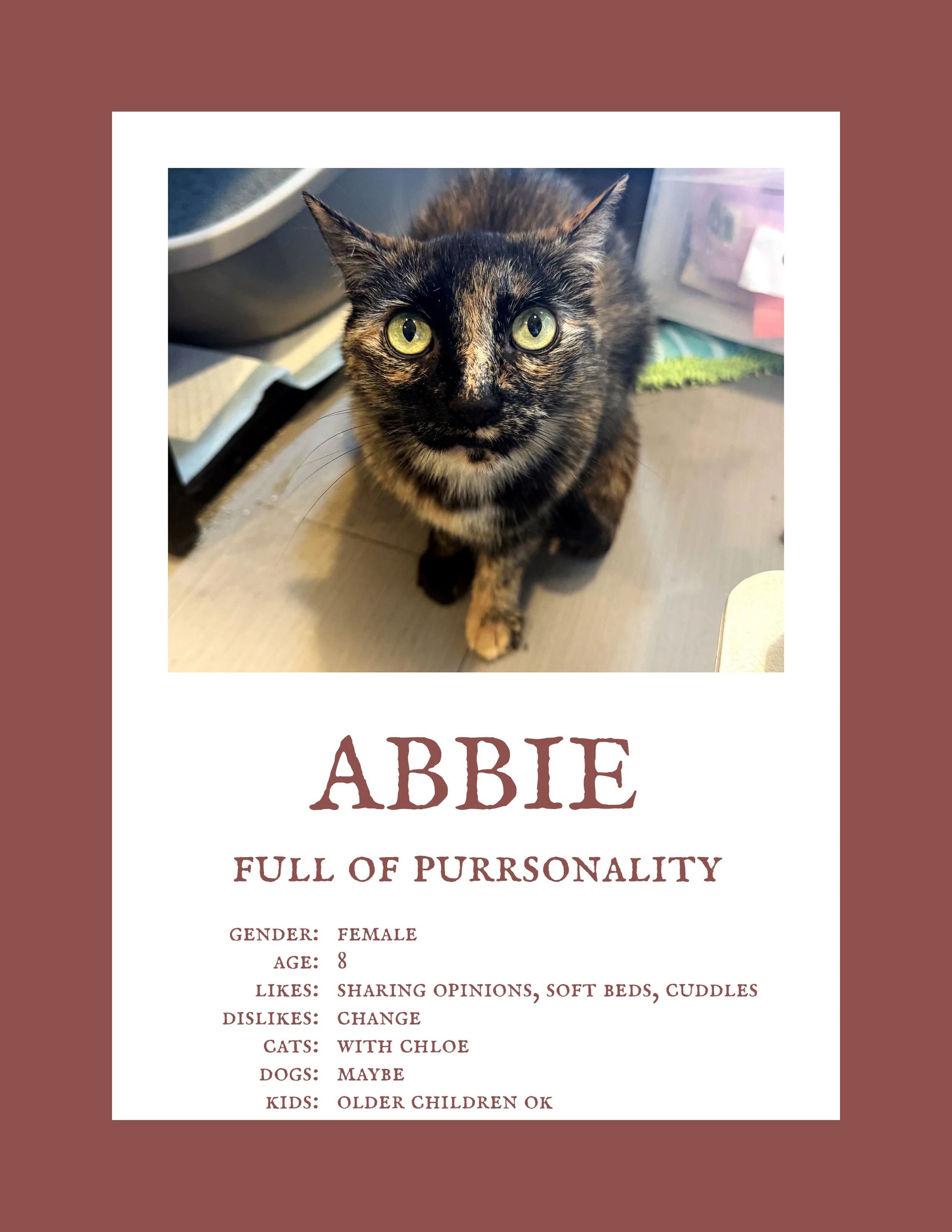 Abbie.jpg