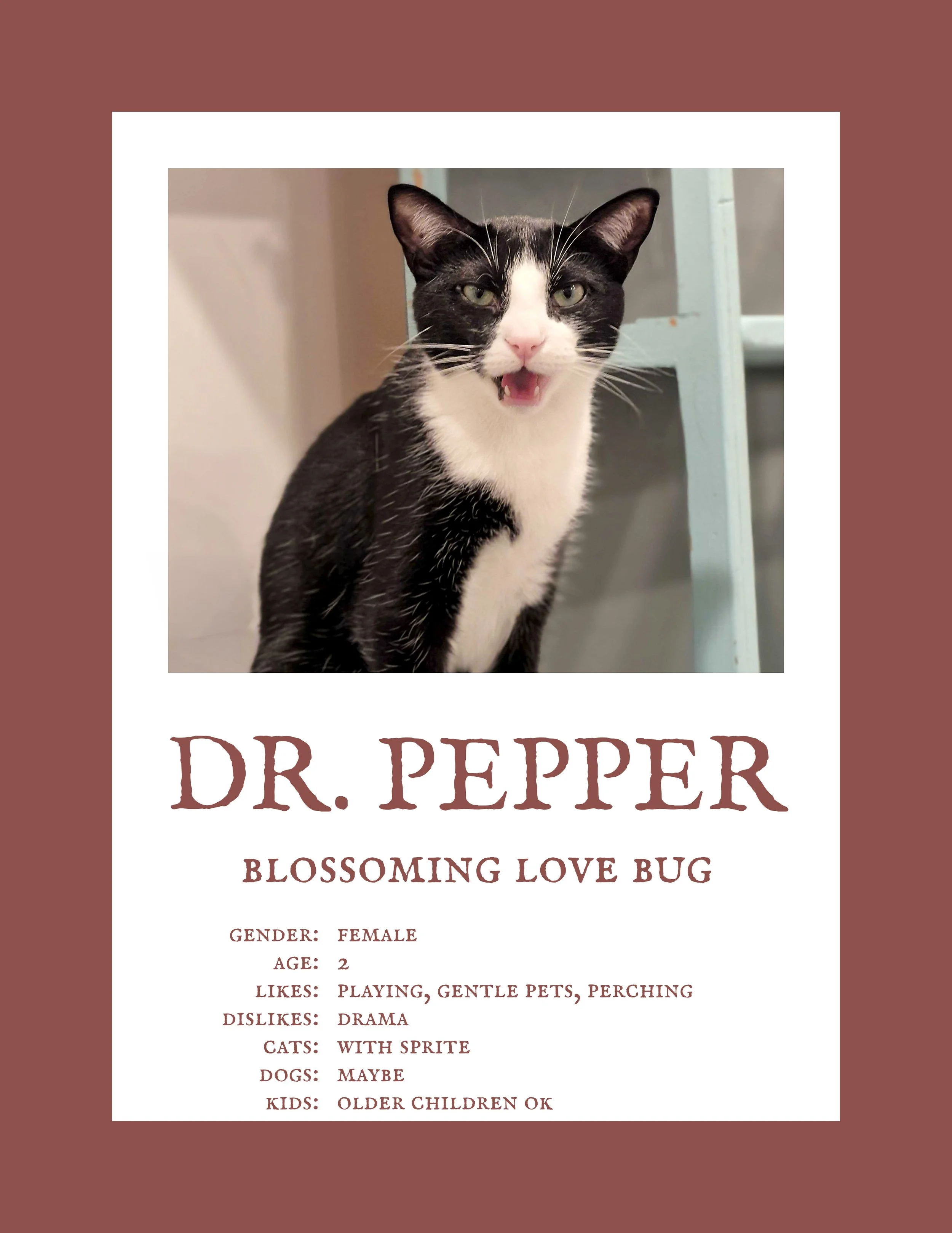 Dr. Pepper.jpg