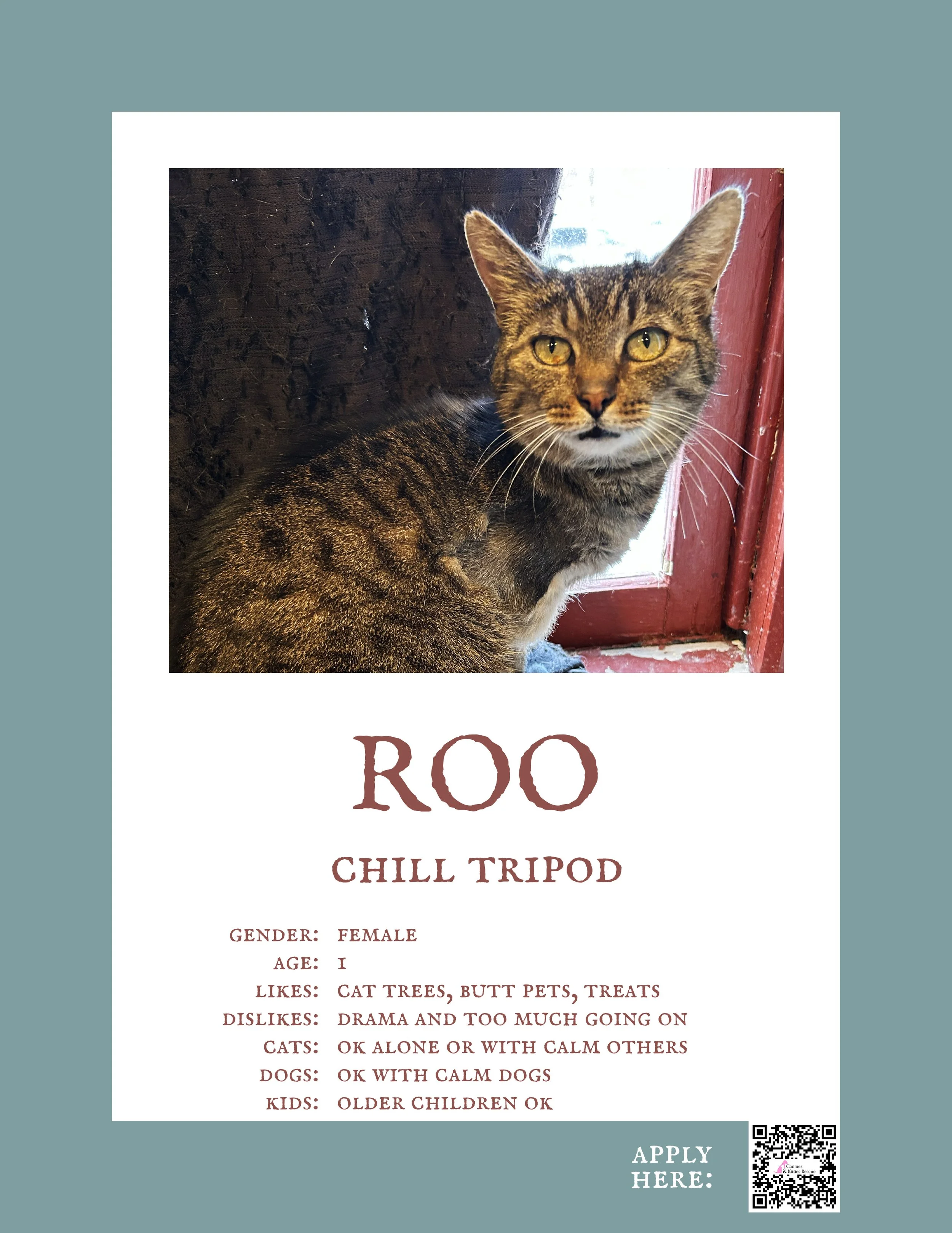 Roo.jpg