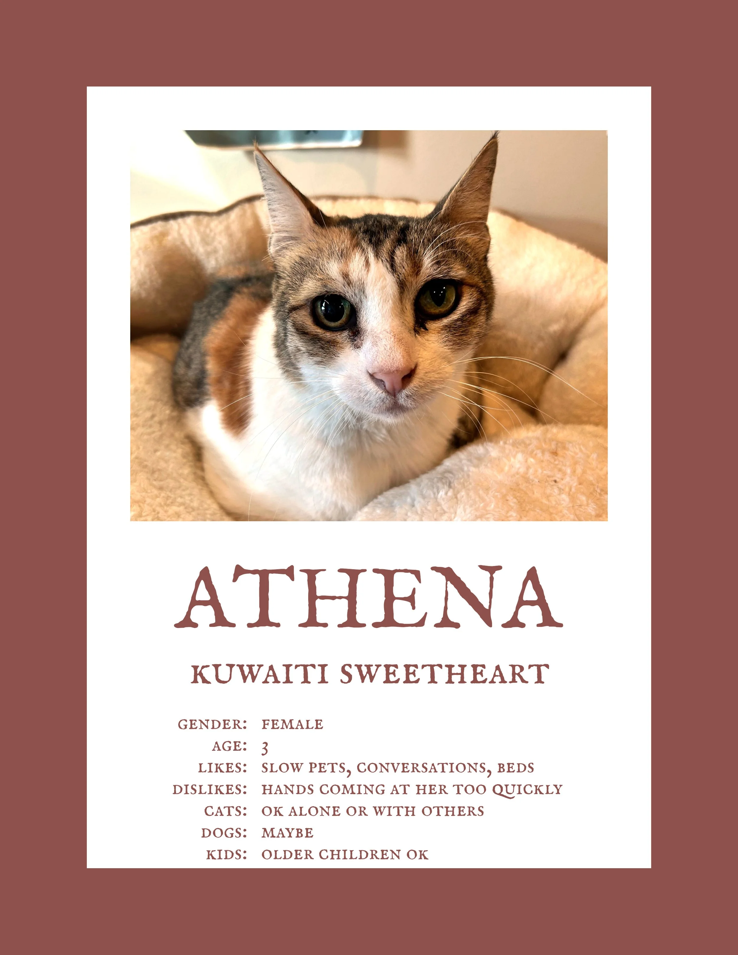 Athena 3 R1.jpg