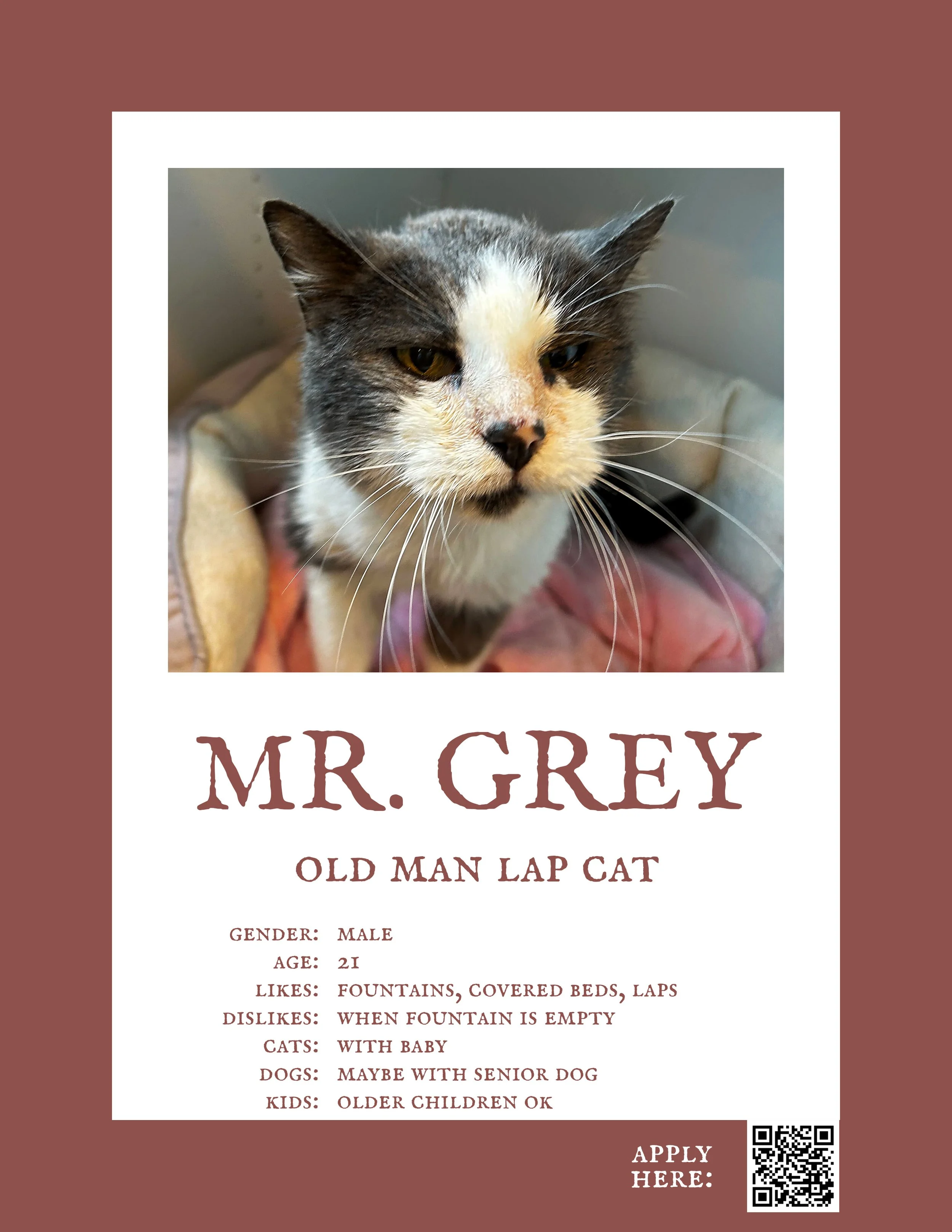Mr. Grey.jpg
