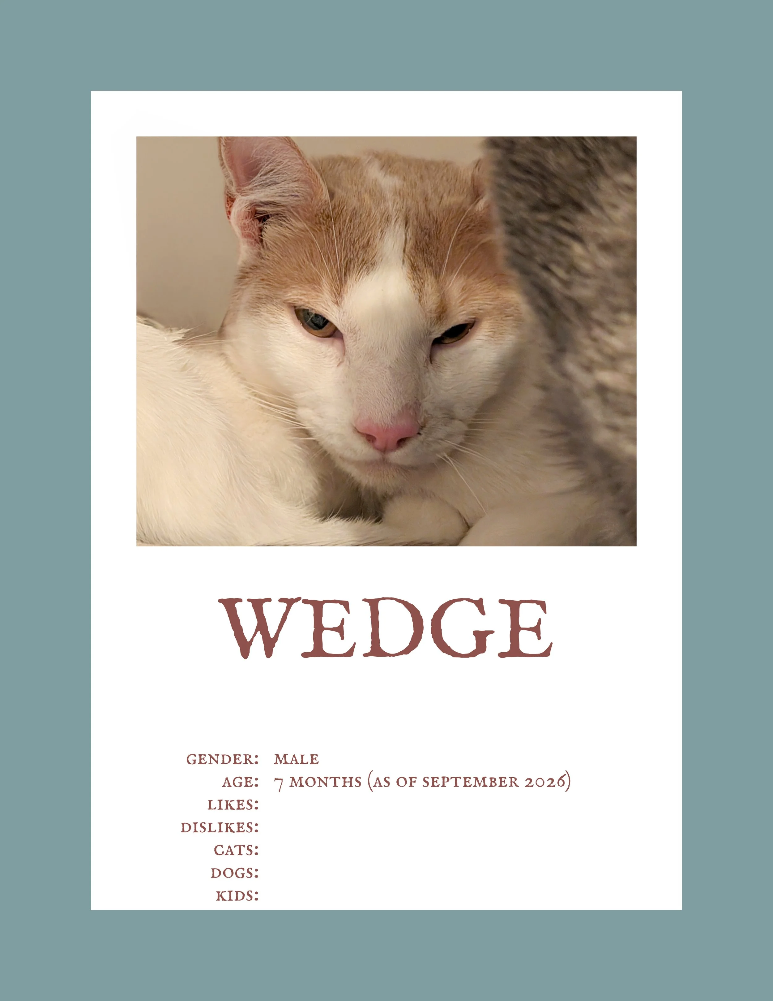 Wedge.jpg