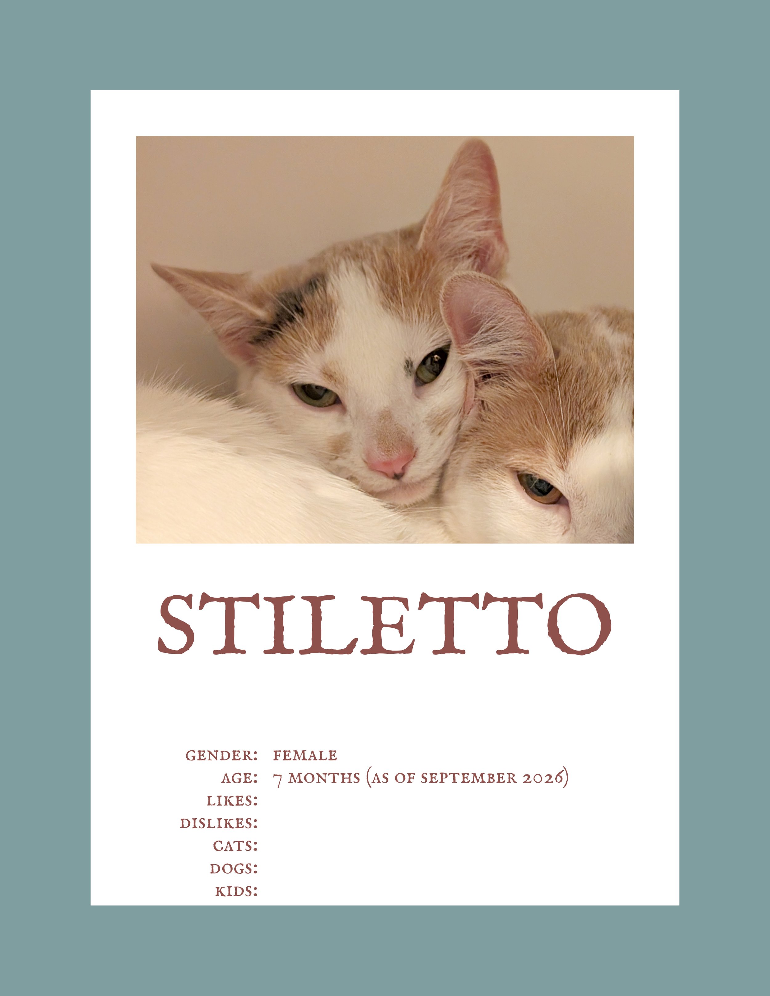 Stiletto.jpg