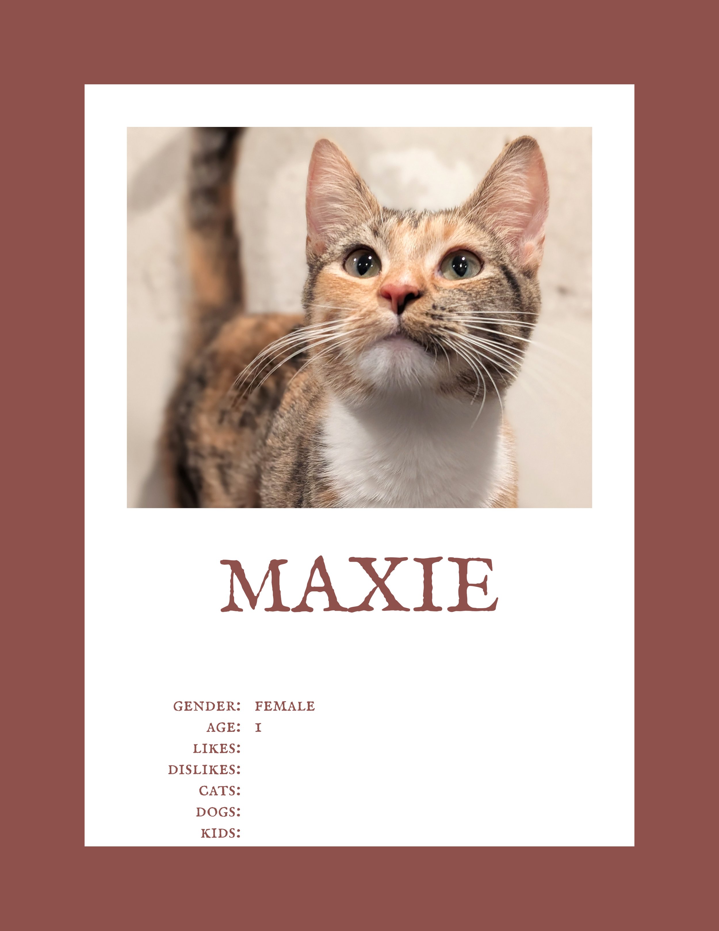 Maxie.jpg