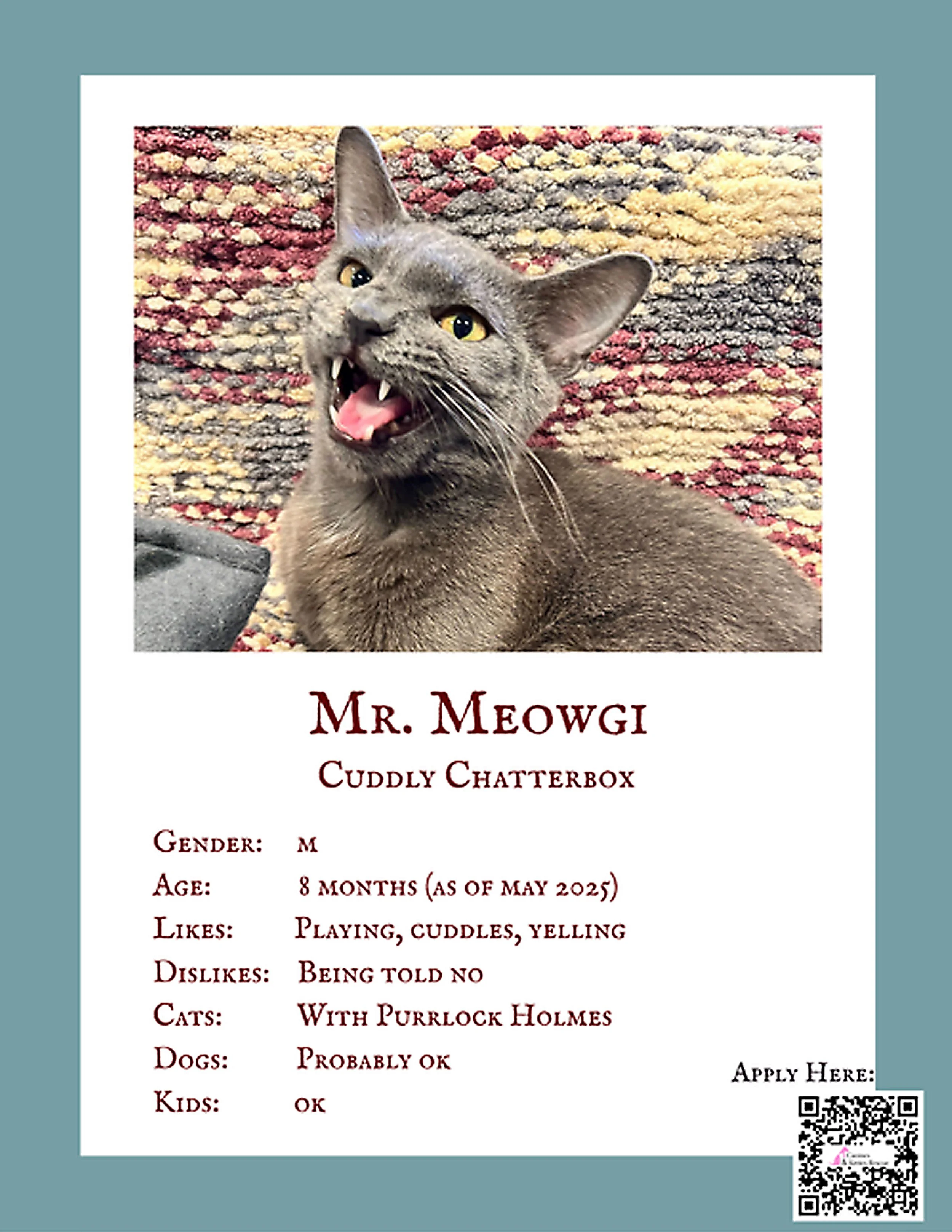Mr. Meowgi.jpg