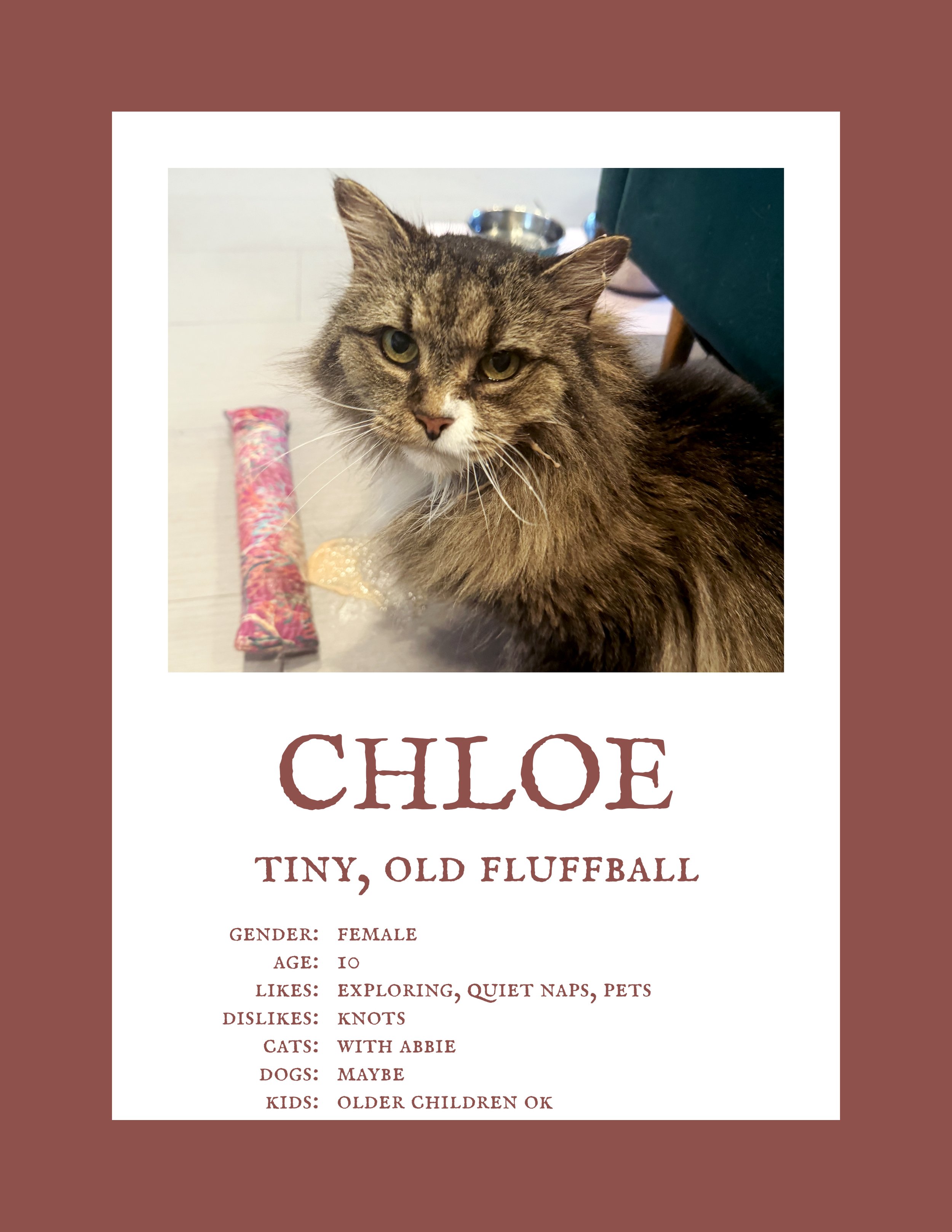 Chloe 5.jpg