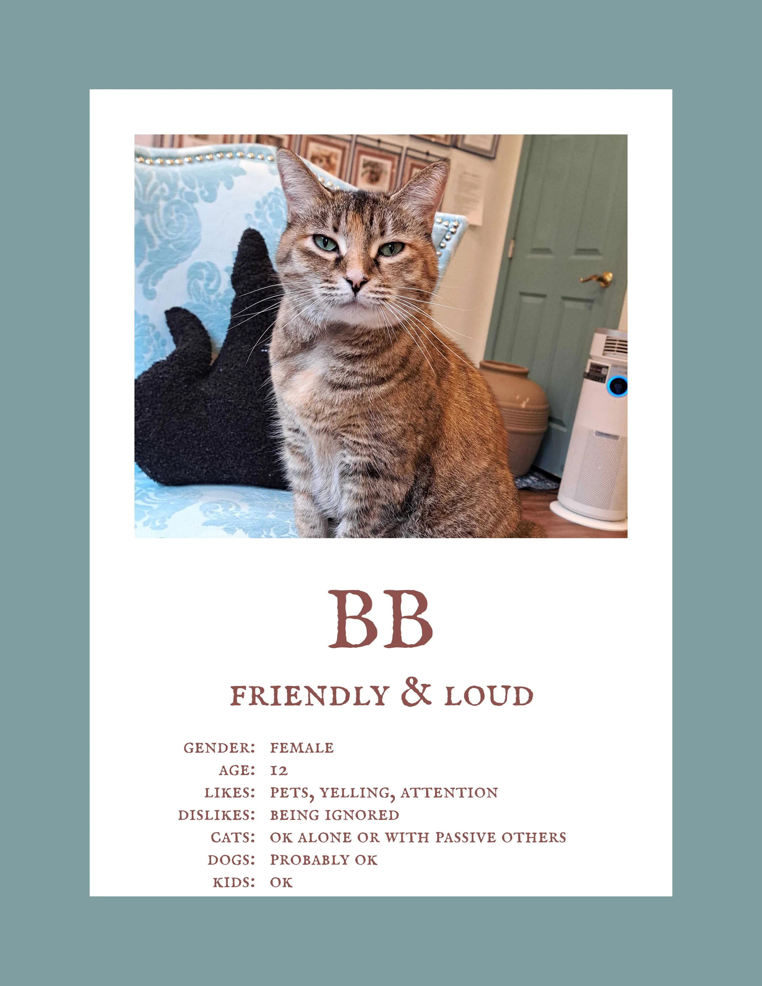 BB.jpg