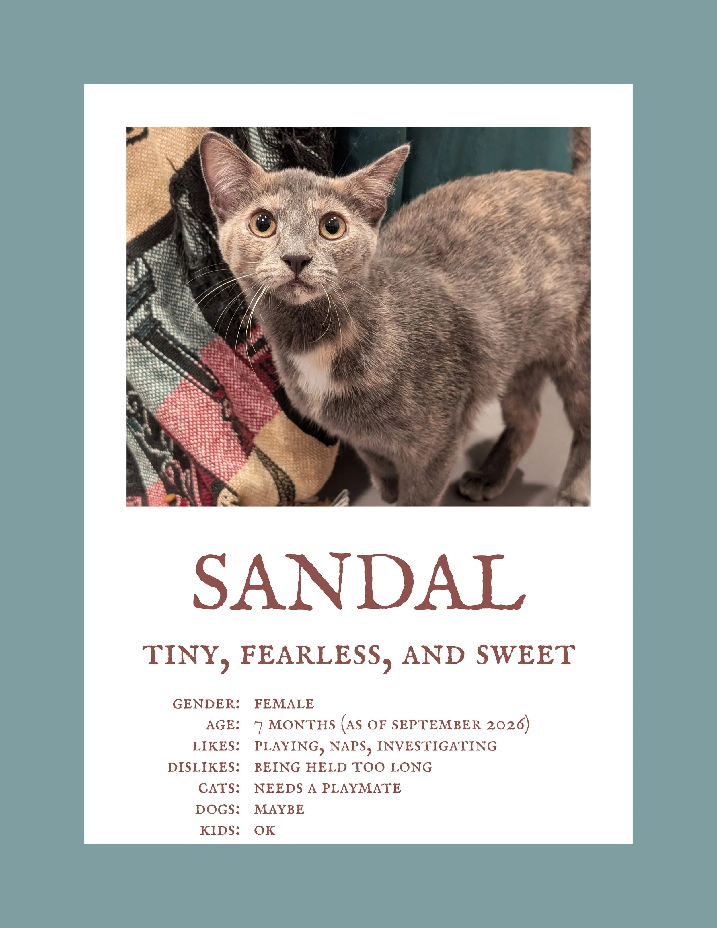 Sandal.jpg