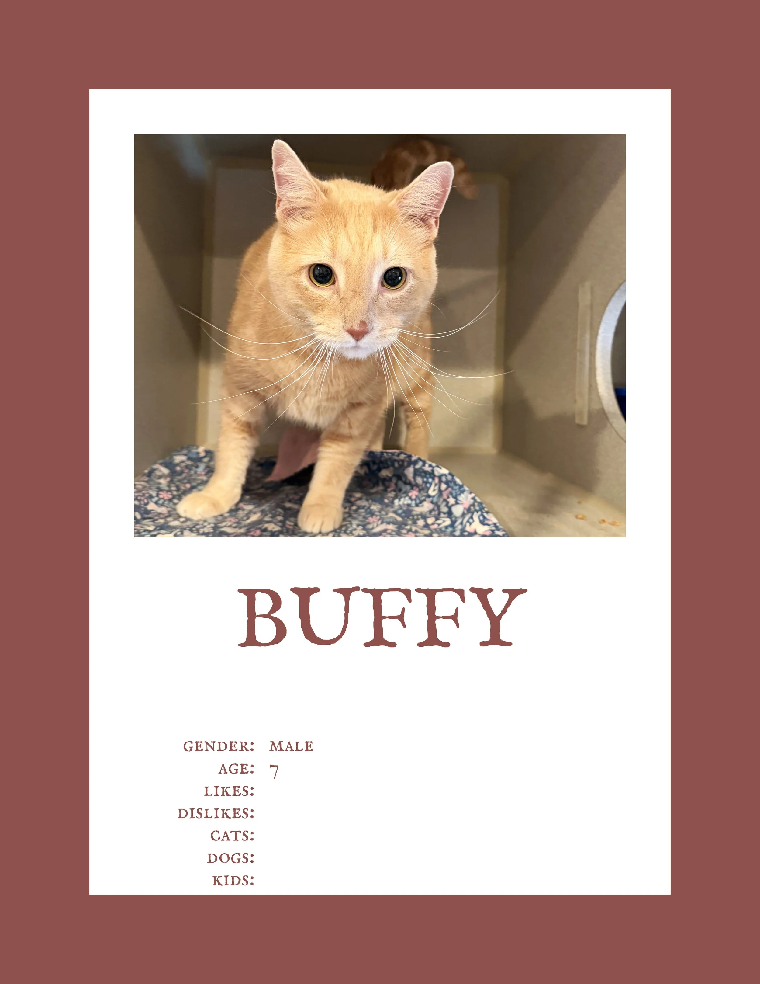 Buffy.jpg