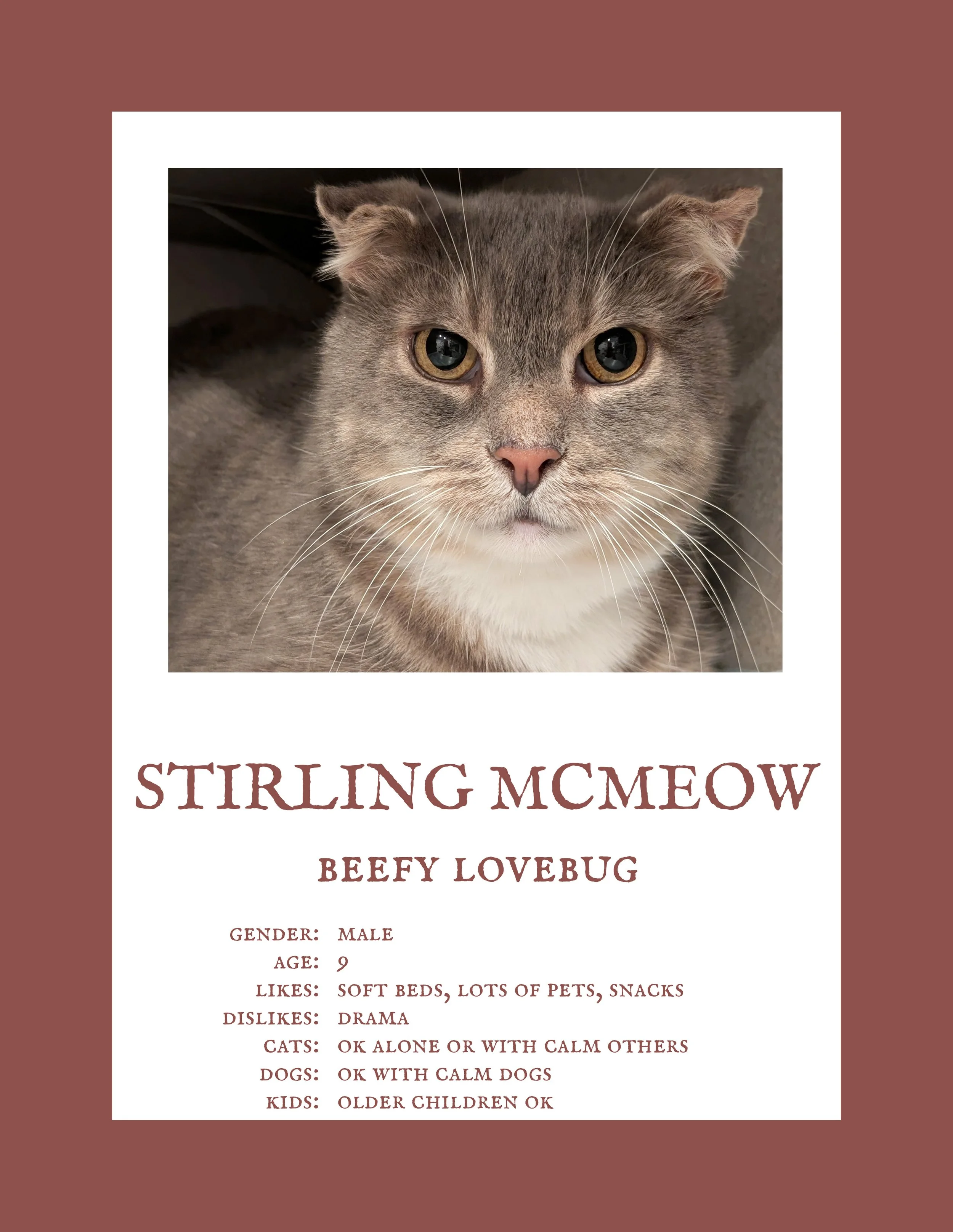 Stirling McMeow.jpg
