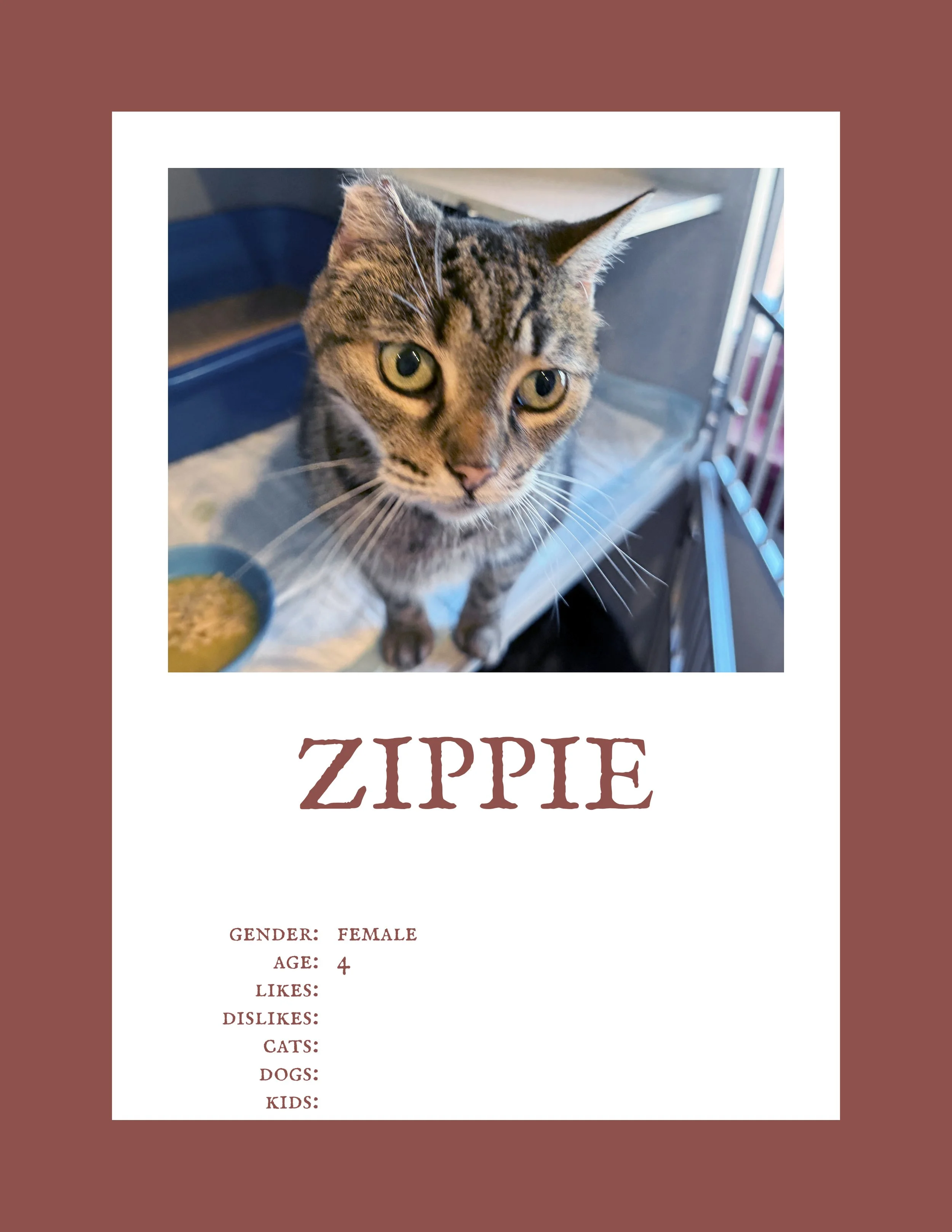 Zippie.jpg