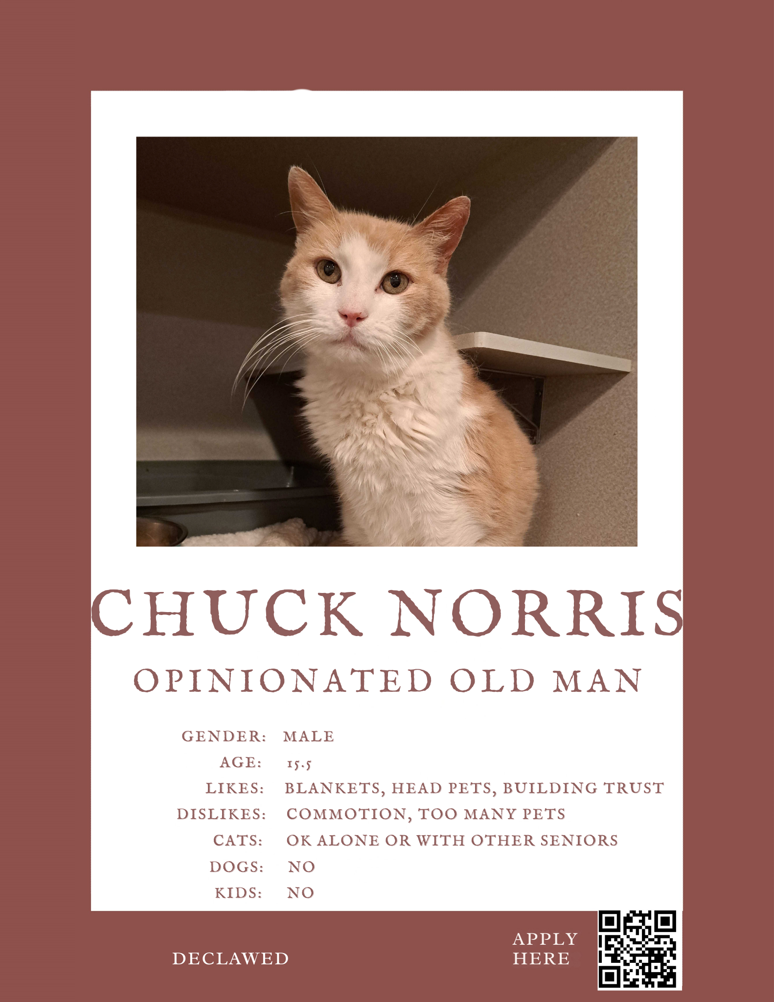 Chuck Norris.png