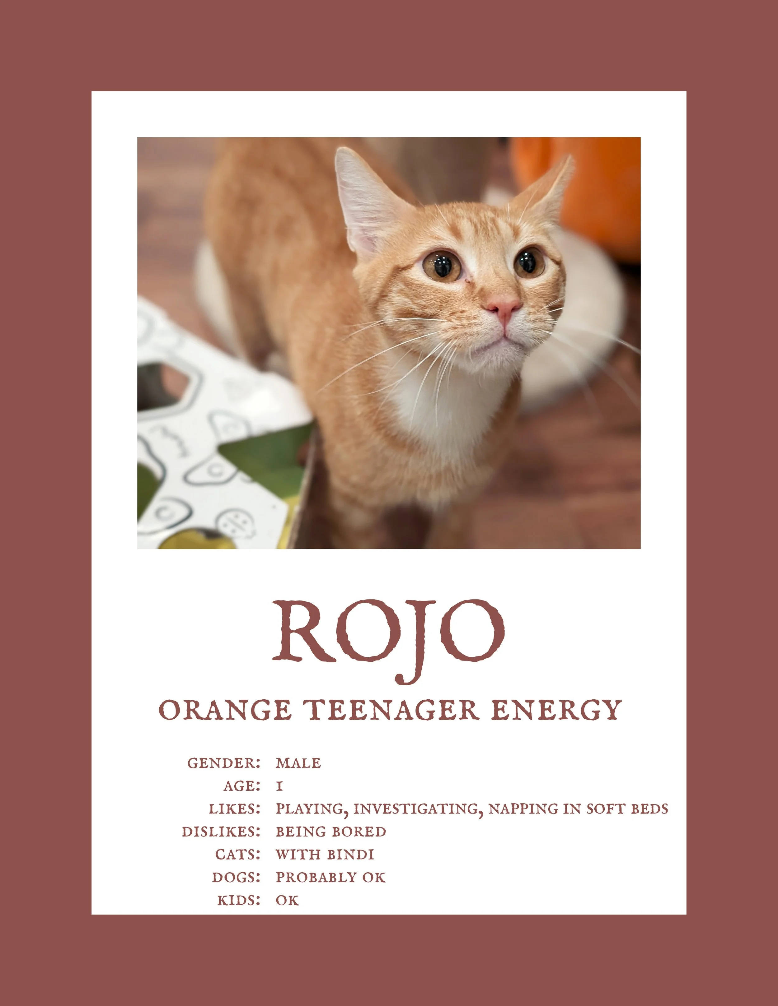 Rojo.jpg