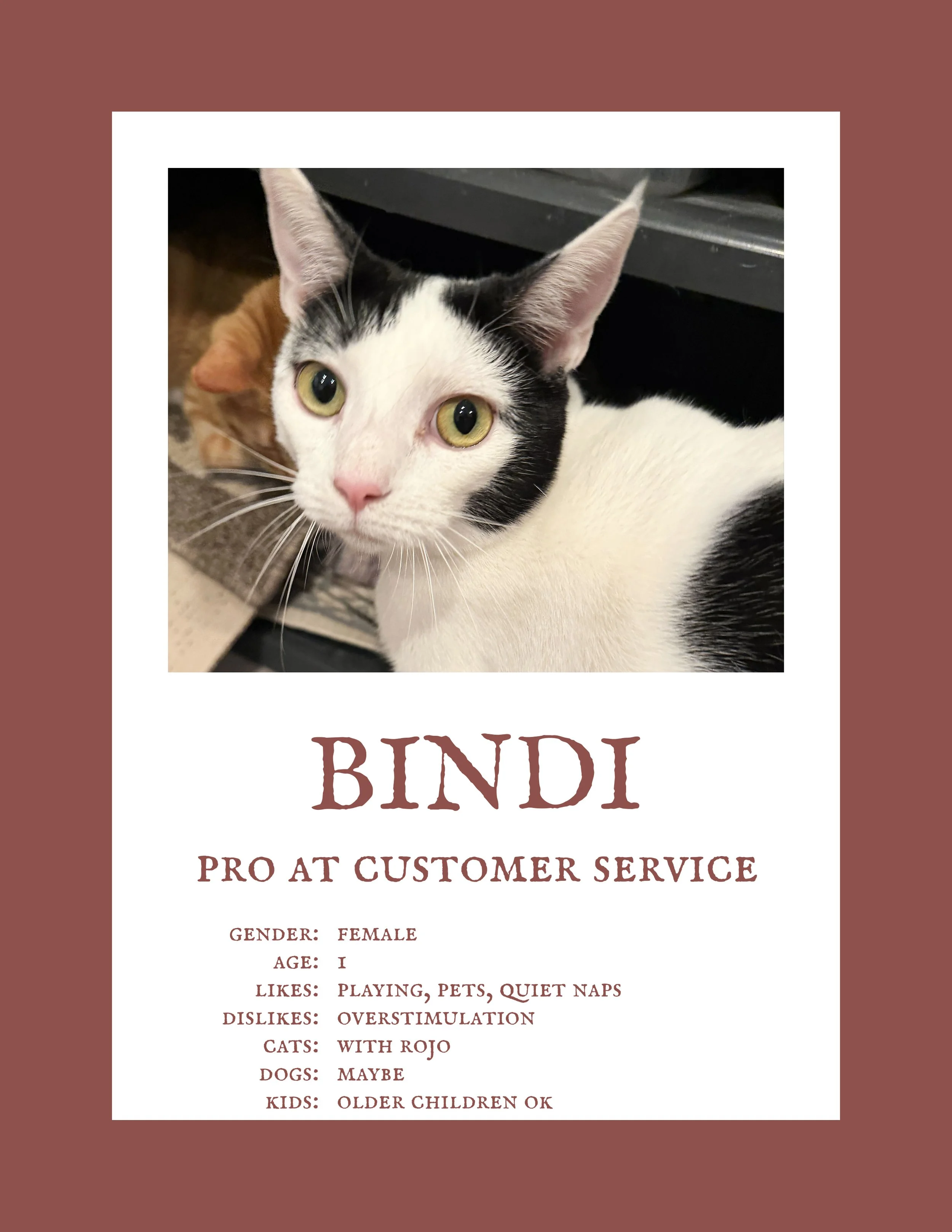 Bindi.jpg
