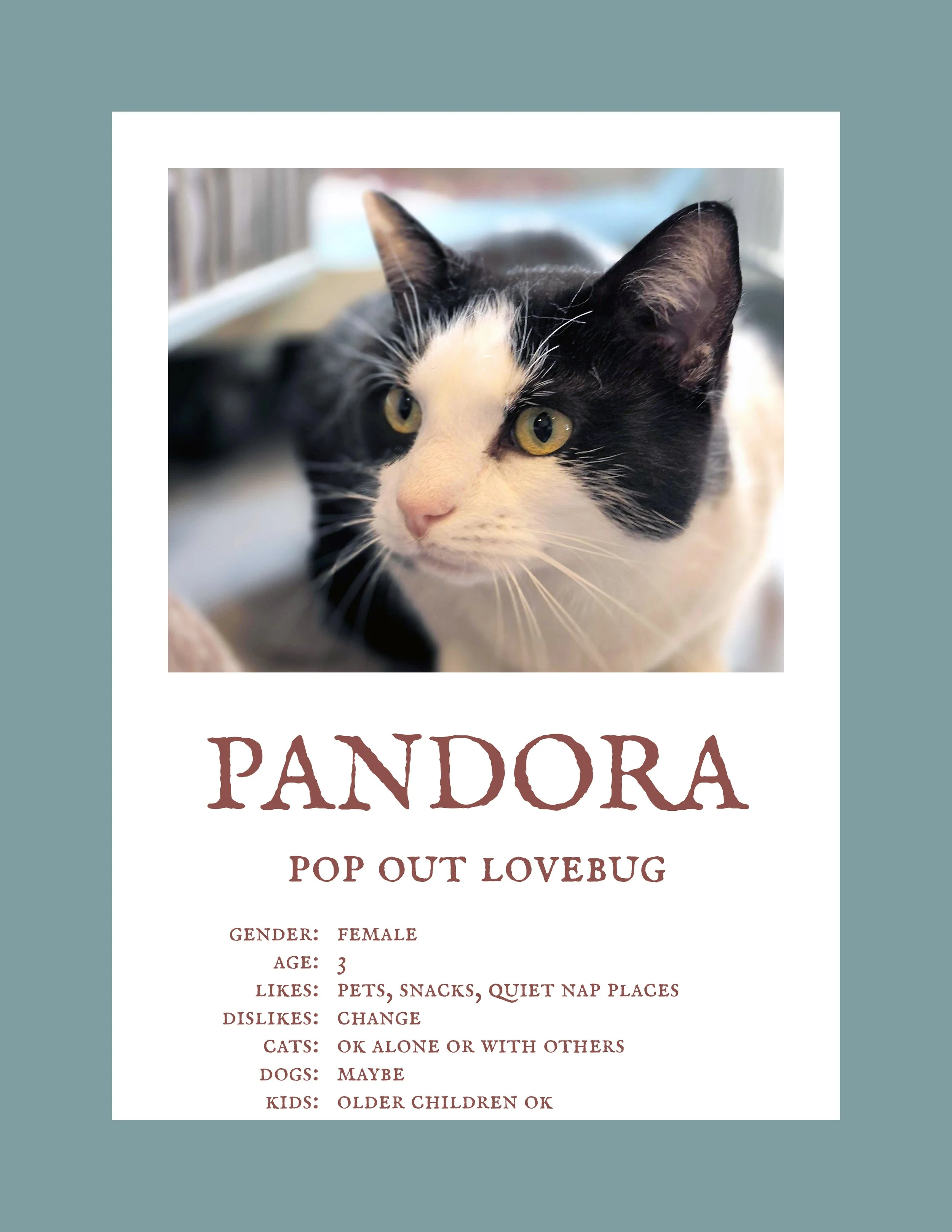 Pandora.jpg