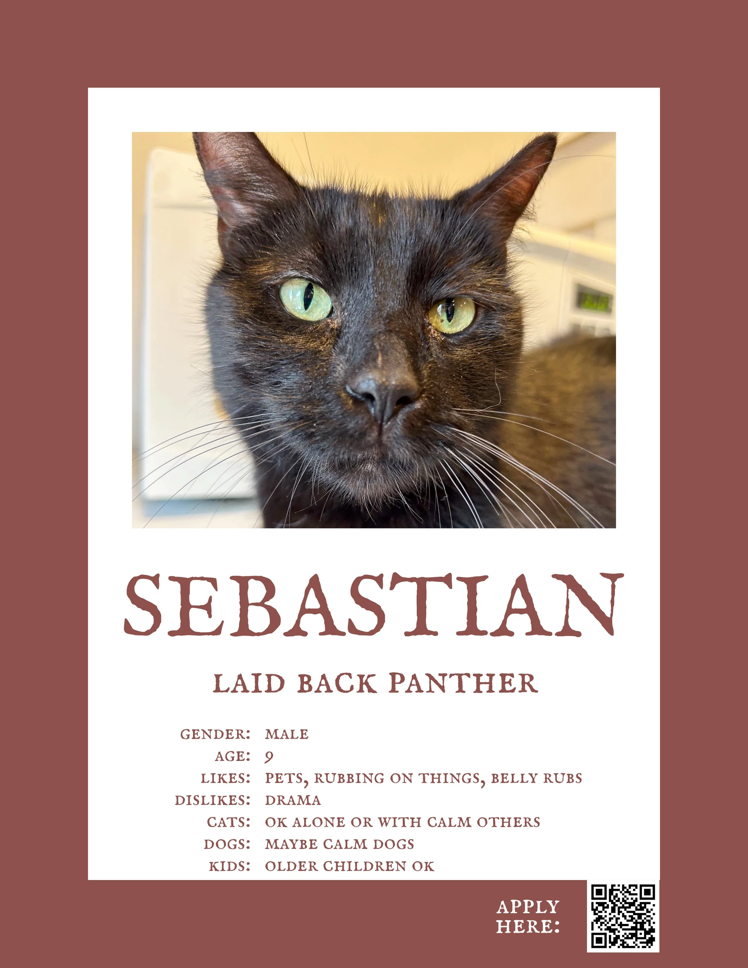 Sebastian 2.jpg