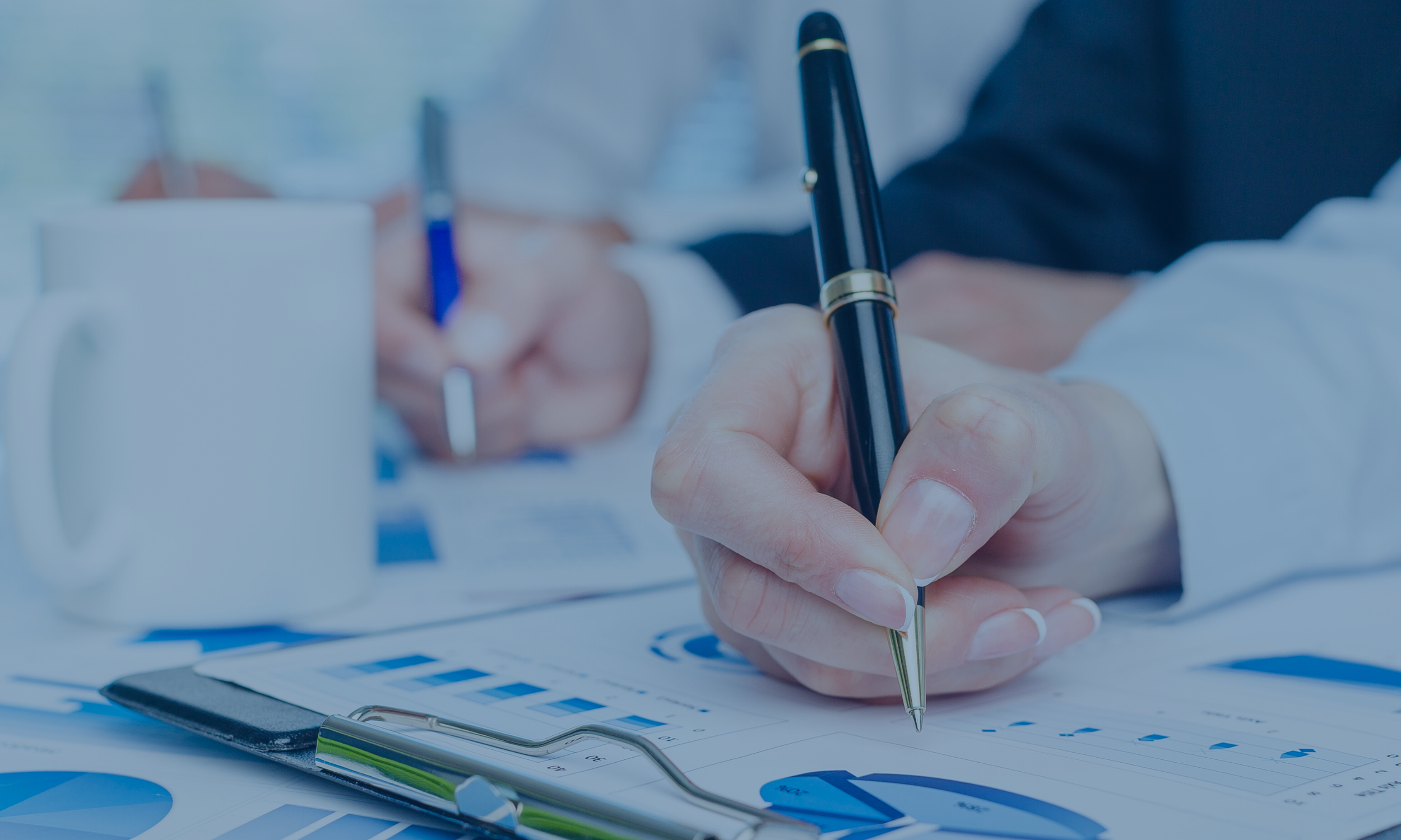 COMPLIANCE CONSULTING SERVICES visual data 3