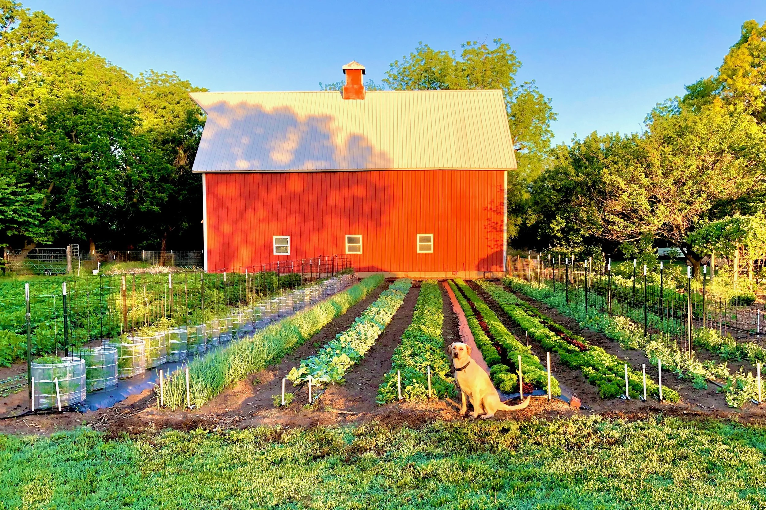 FullSizeRender 3.JPEG