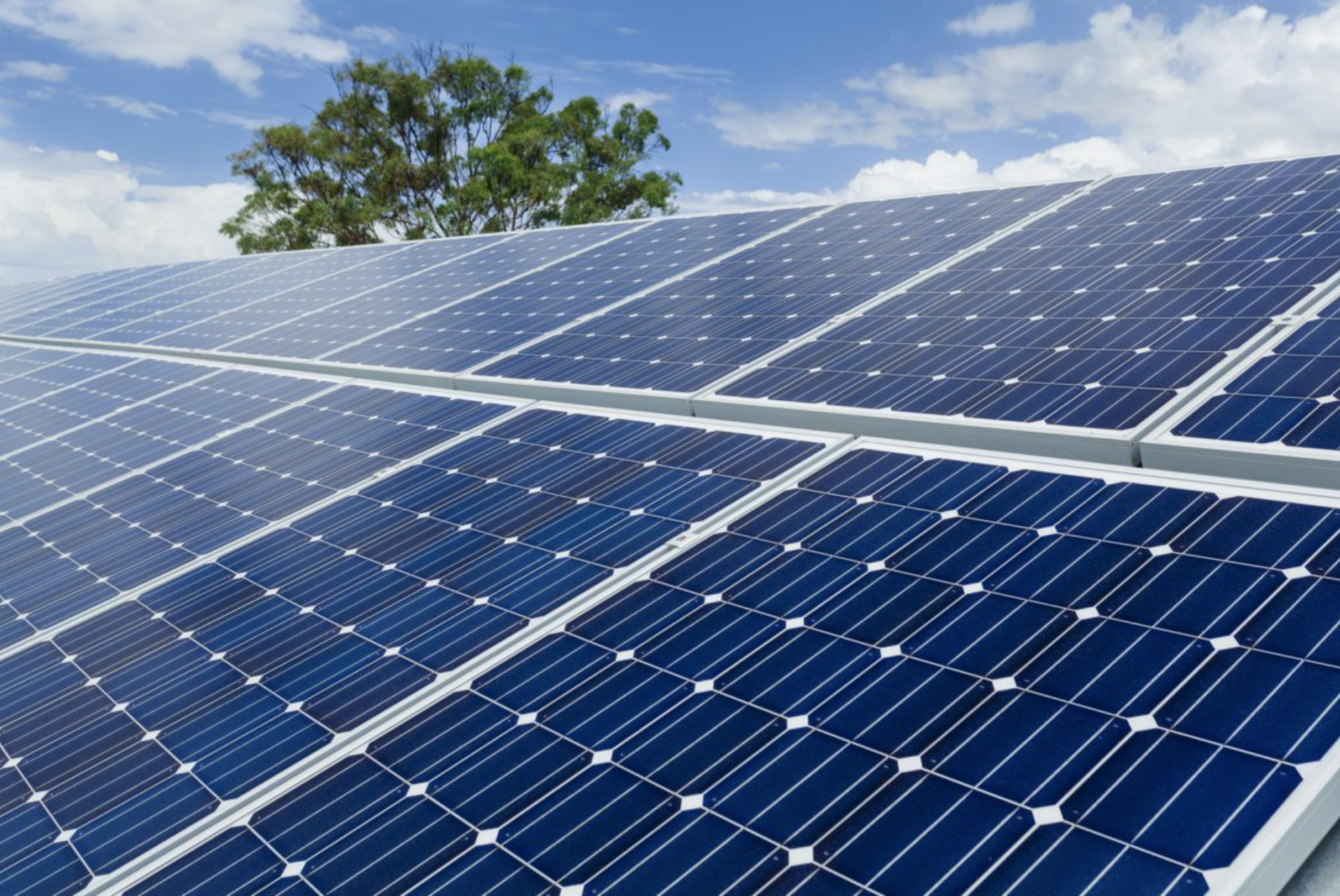 Net Zero7.png