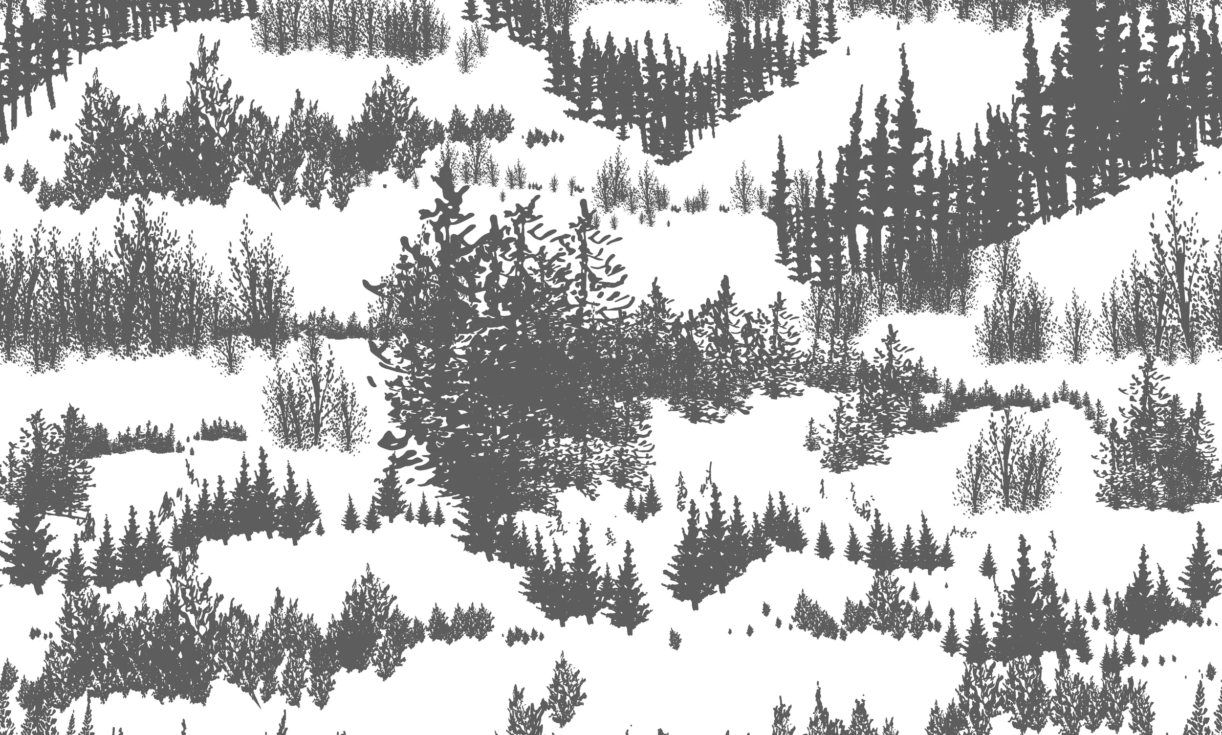 Trees Cropped GS.jpeg
