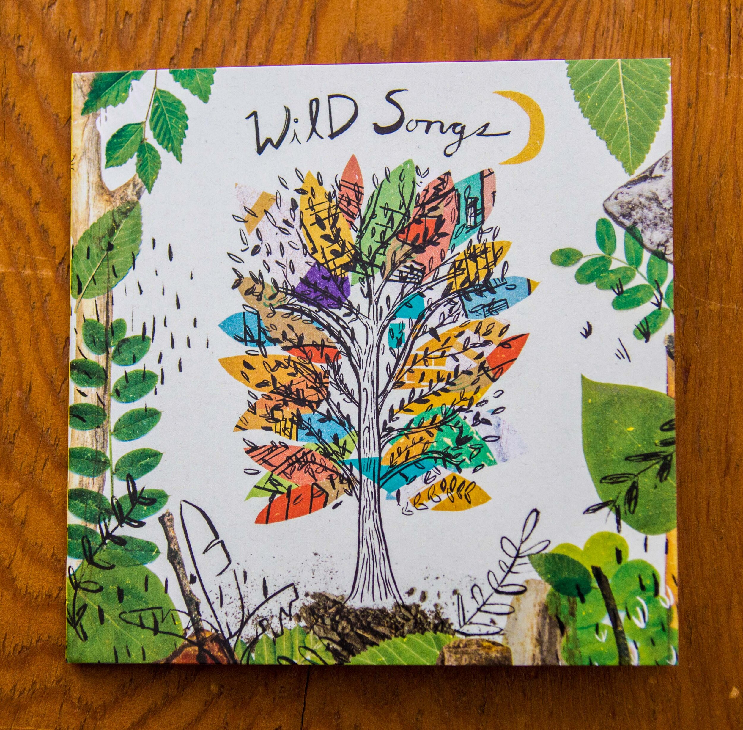 Wild and the Animal Band CD
