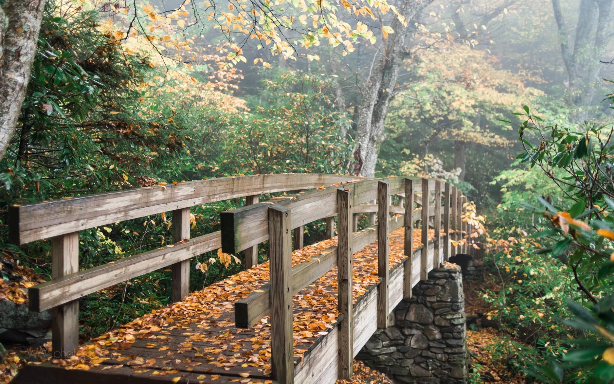Bridge WAC.jpg