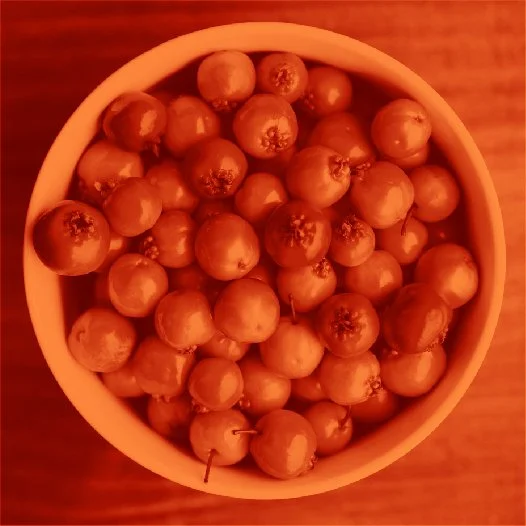 BidPreview10RED.jpg