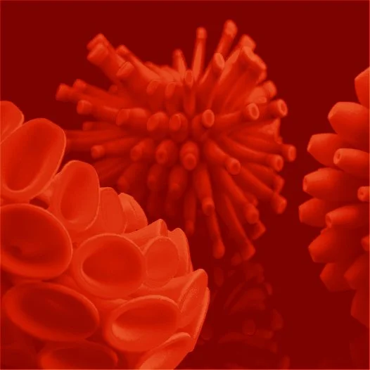 BidPreview5red.jpg