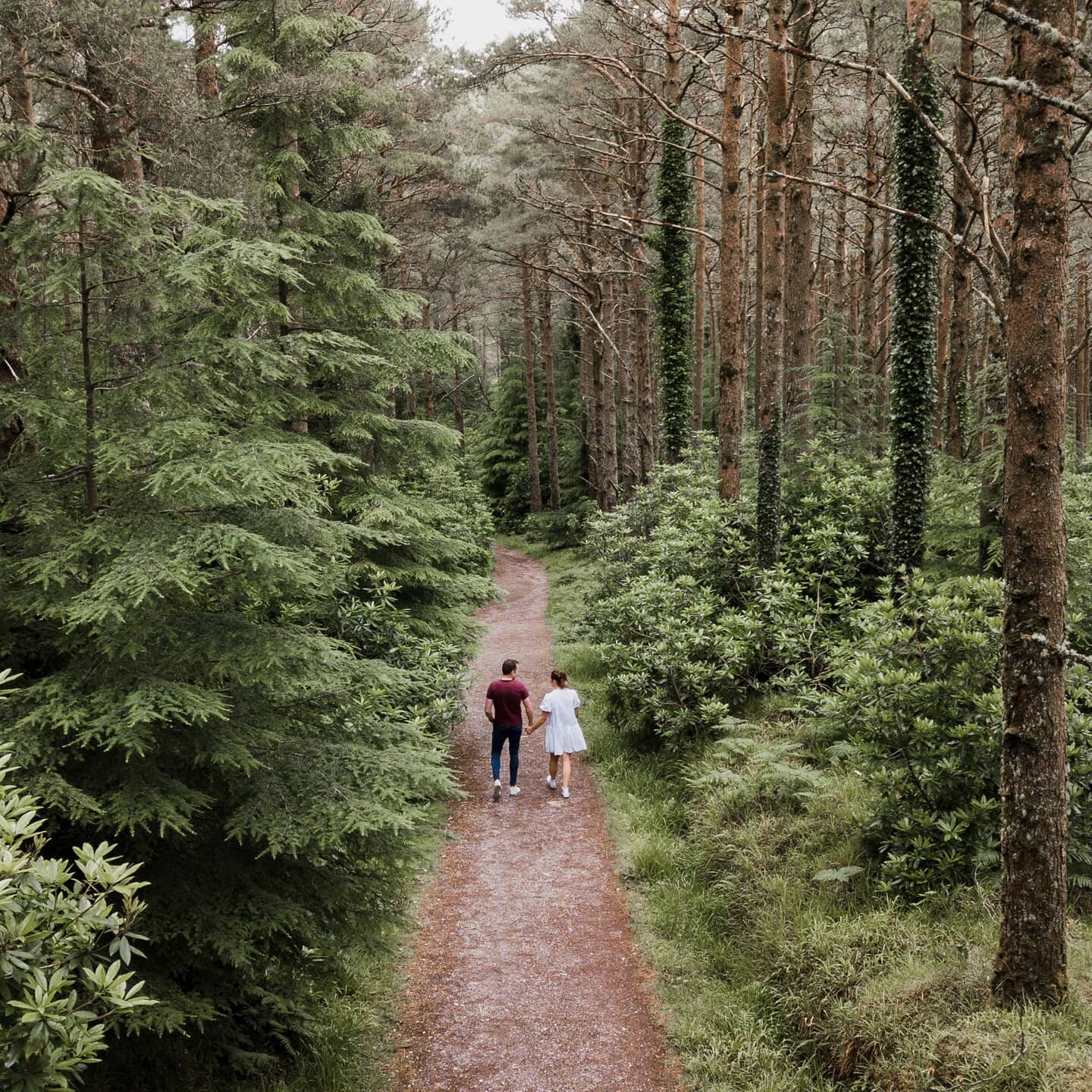 Mairead &amp; Luke during their engagement shoot in the beautiful @killarneynationalpark

#irishwedding #irishbride #killarneynationalpark #kerrywedding