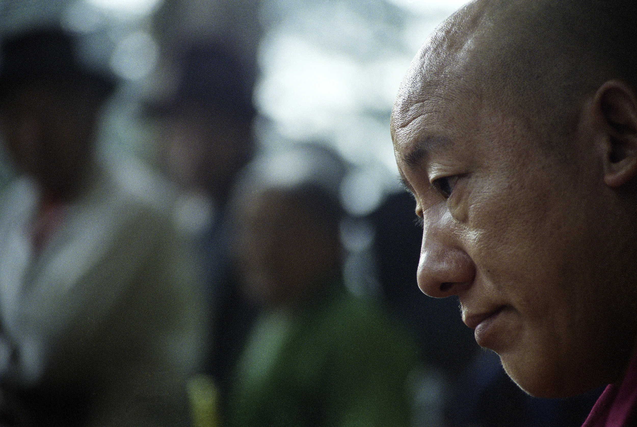contemplation.jpg