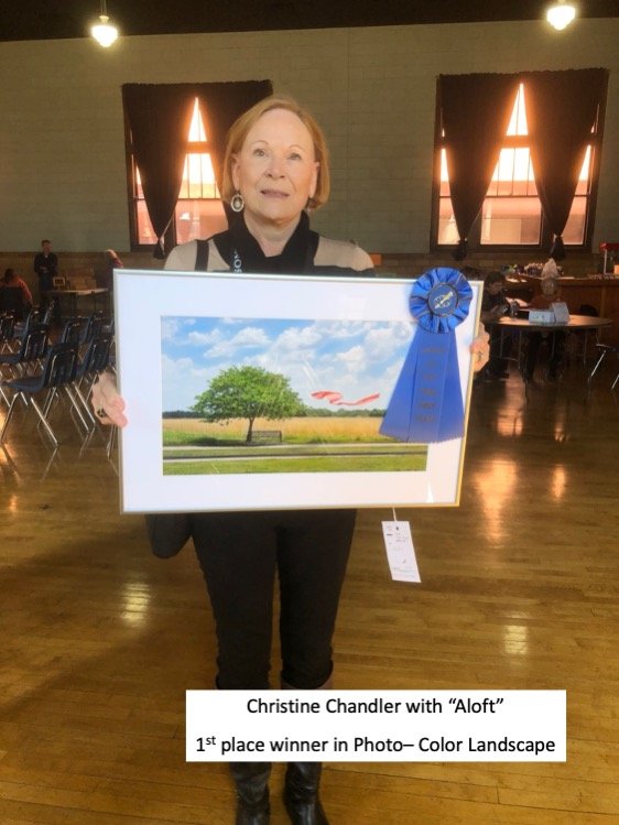 Pictures of art show winners 2023 -Christine landscape.jpg
