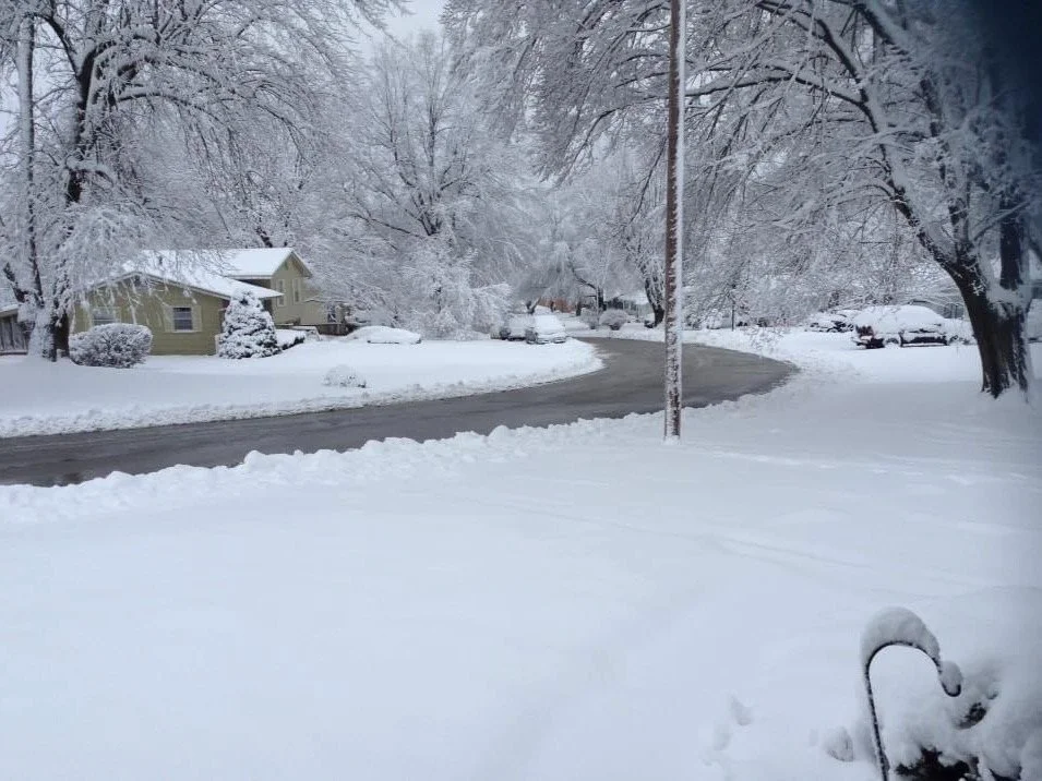 Candy McGill - Ussery Drive snow