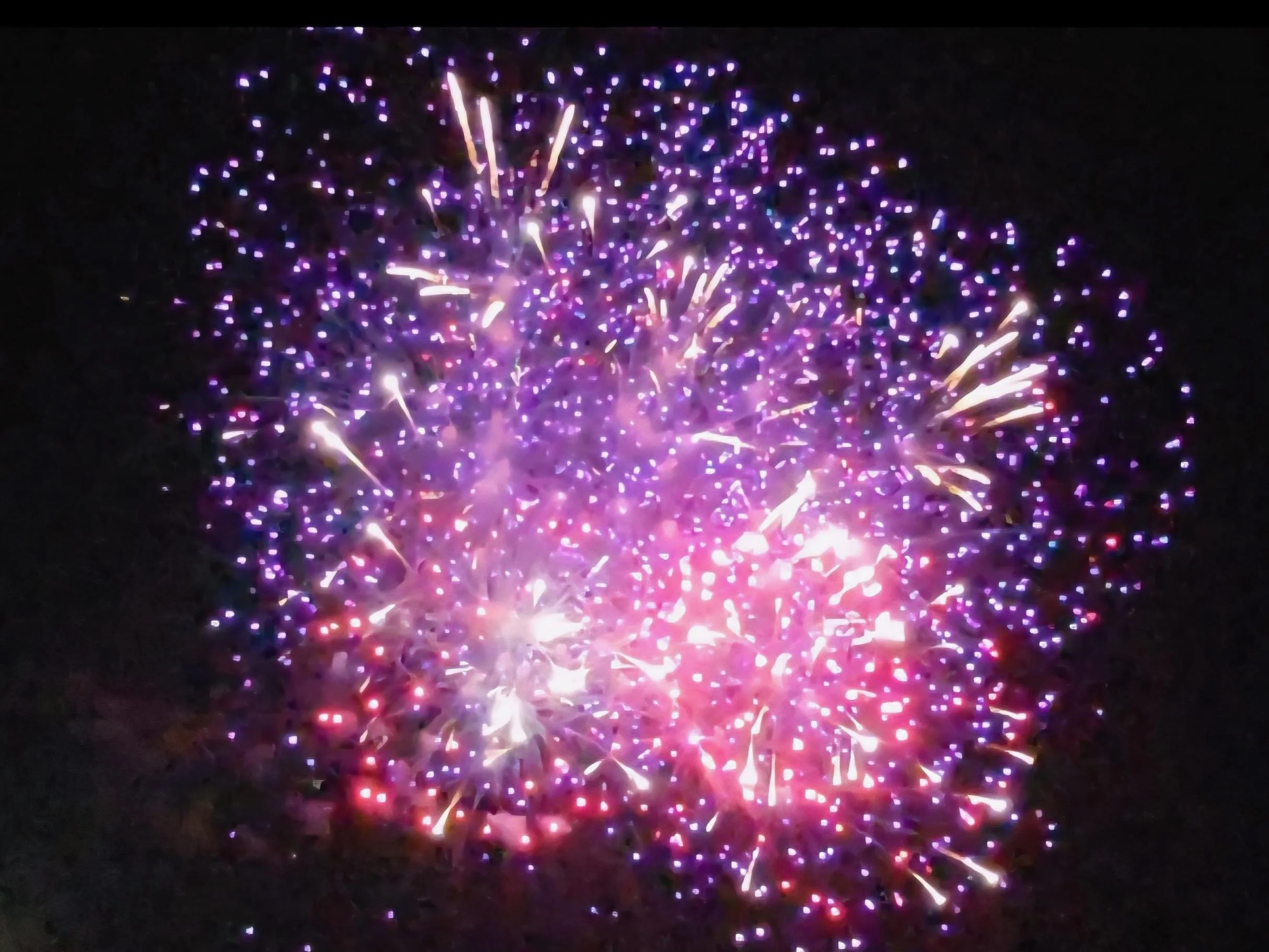 Liz Deveney - fireworks at park