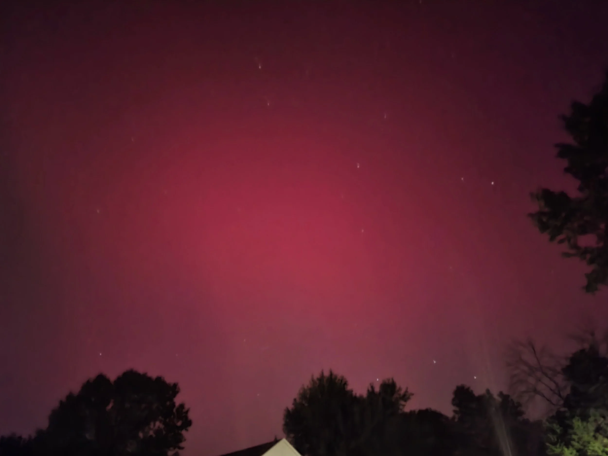 Liz Deveney - northern lights