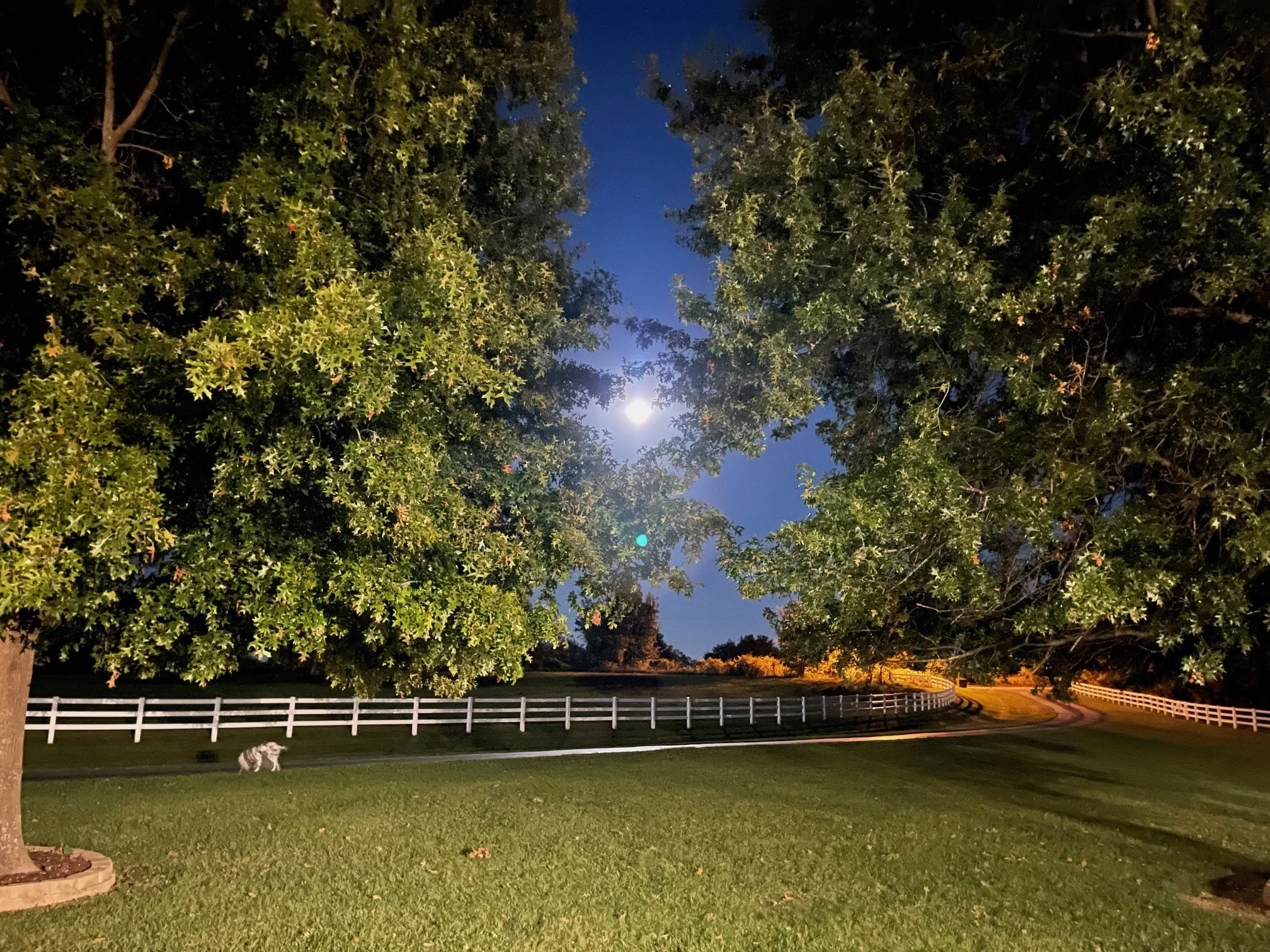 Jim Kenney - full moon at home