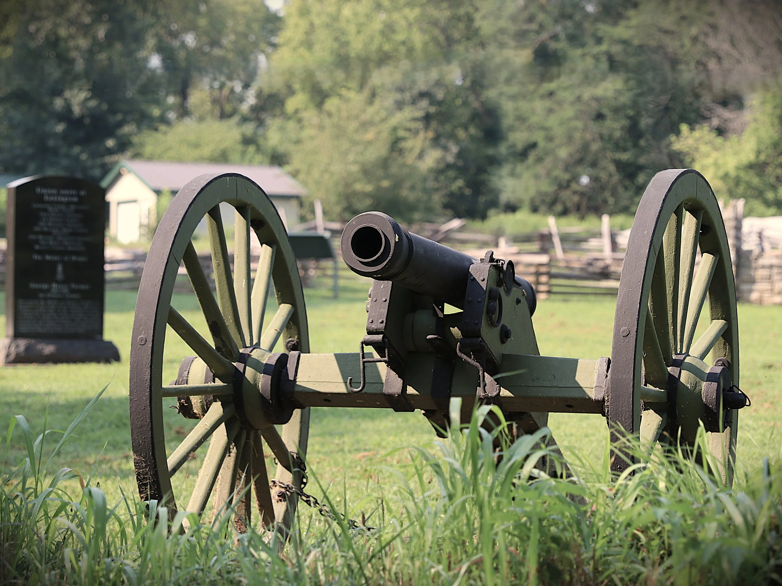 Michelle Roach - battlefield