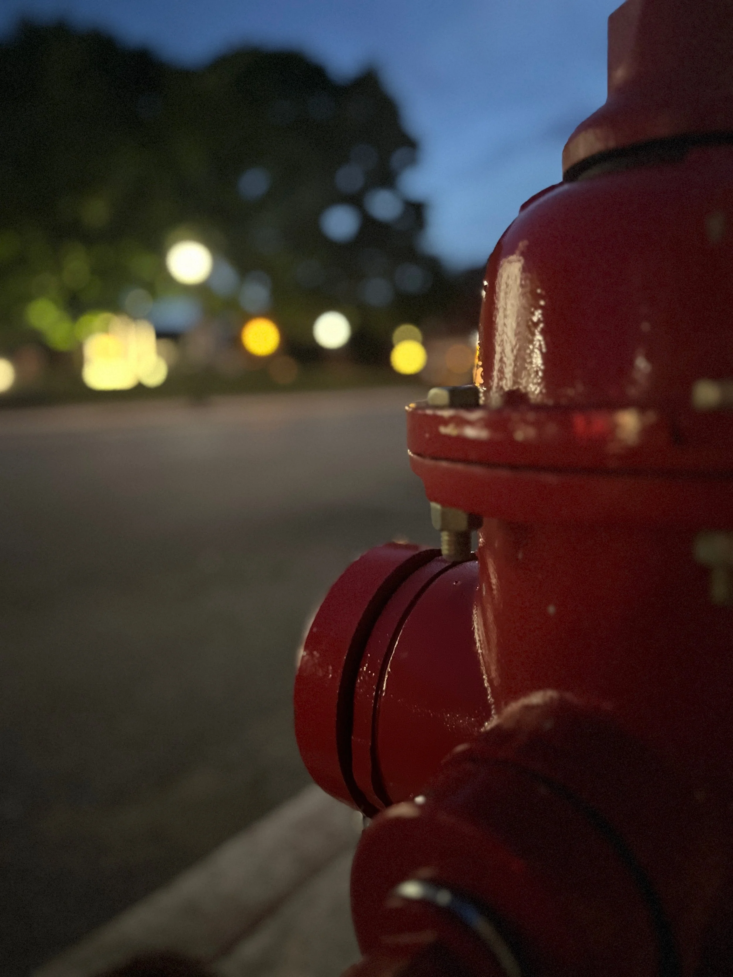 Lilly Brandt - fireplug