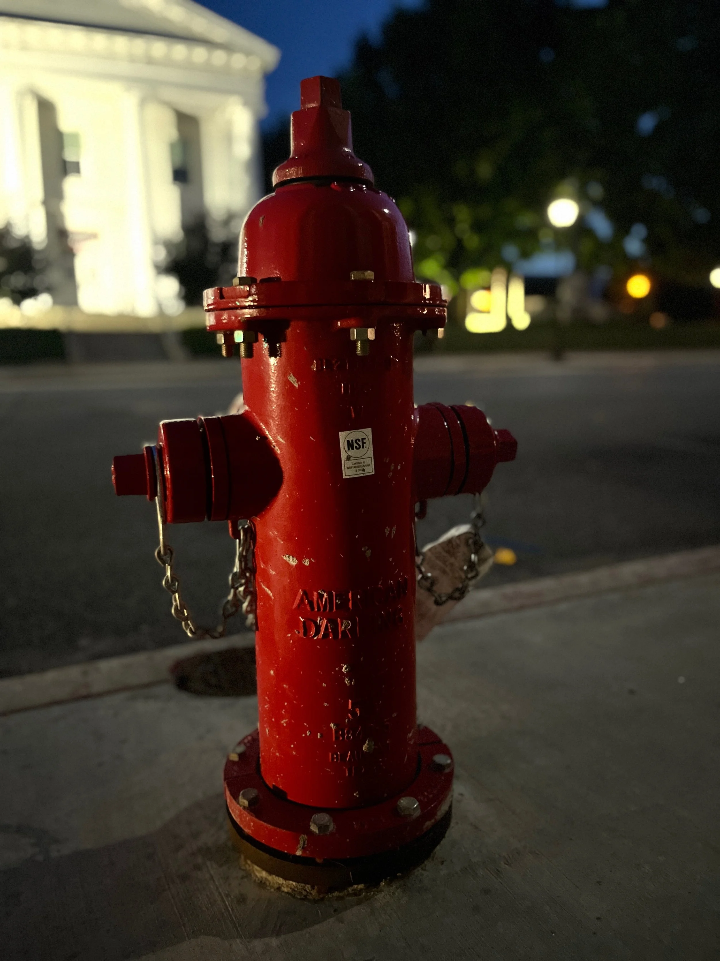 Shelly Brandt - fireplug on Main