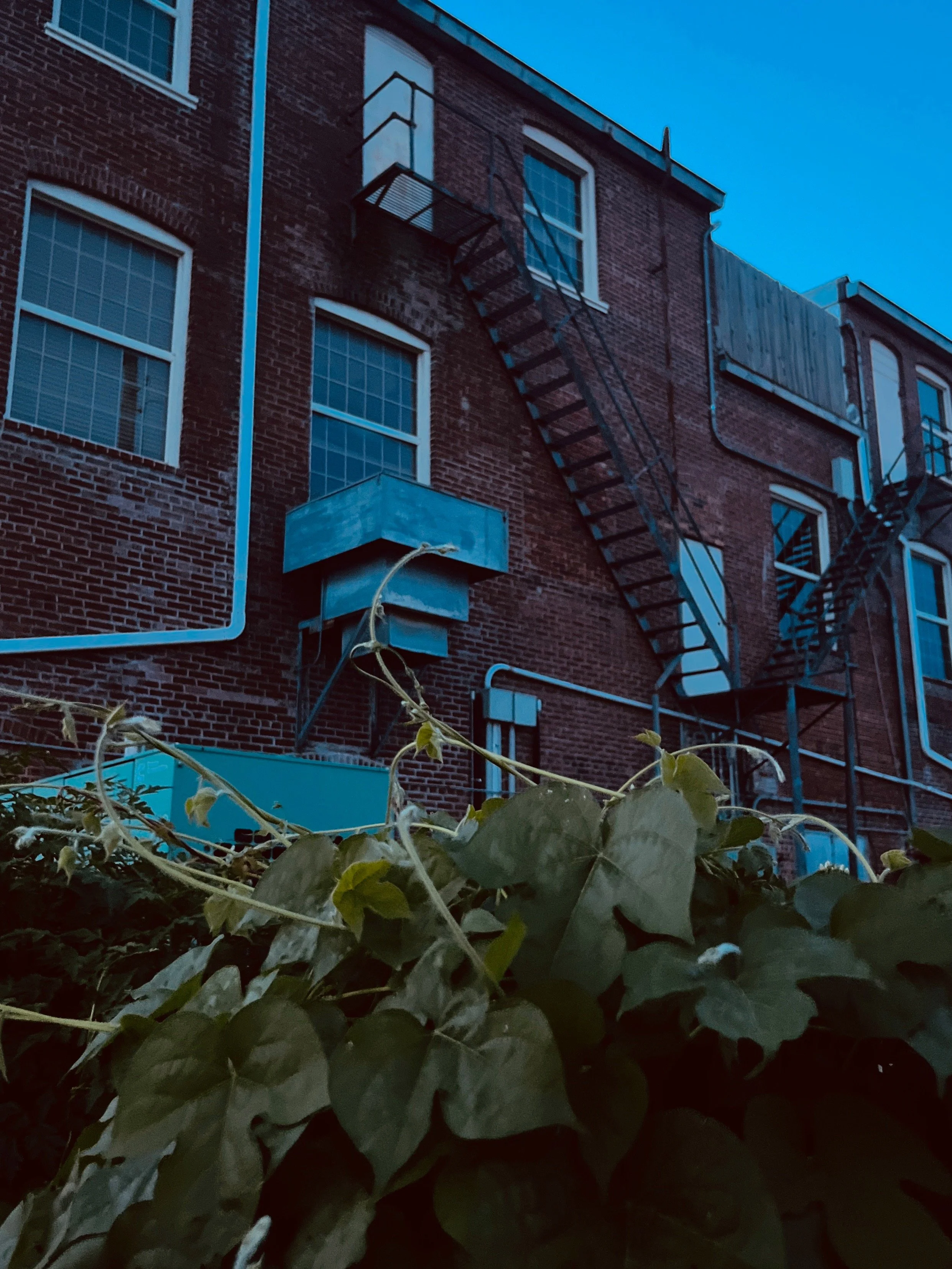 Shelly Brandt - downtown staircase