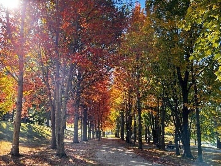 Sheila Jackson - Crystal Lake