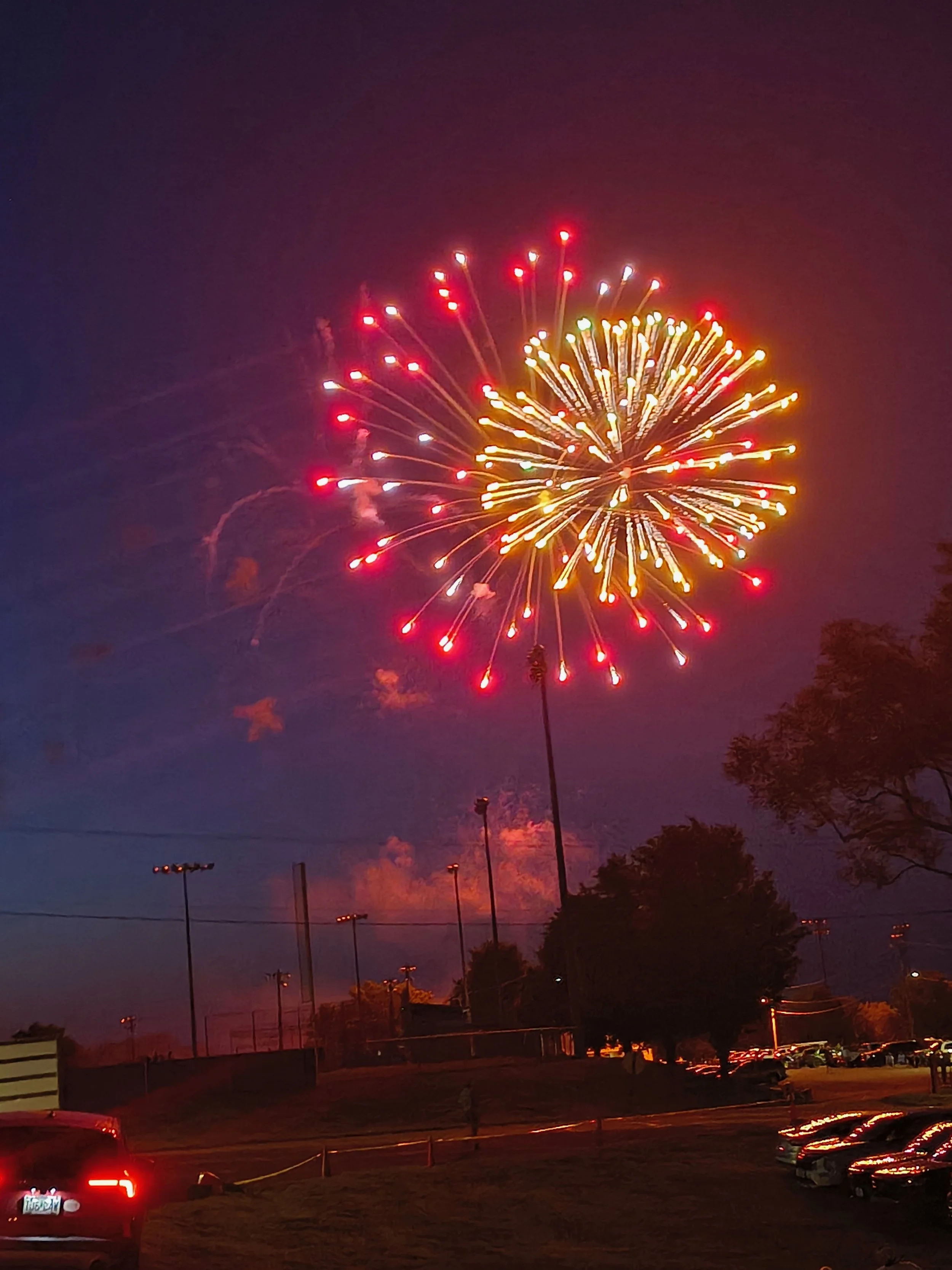 Betty O'Dell - fireworks at ballpark